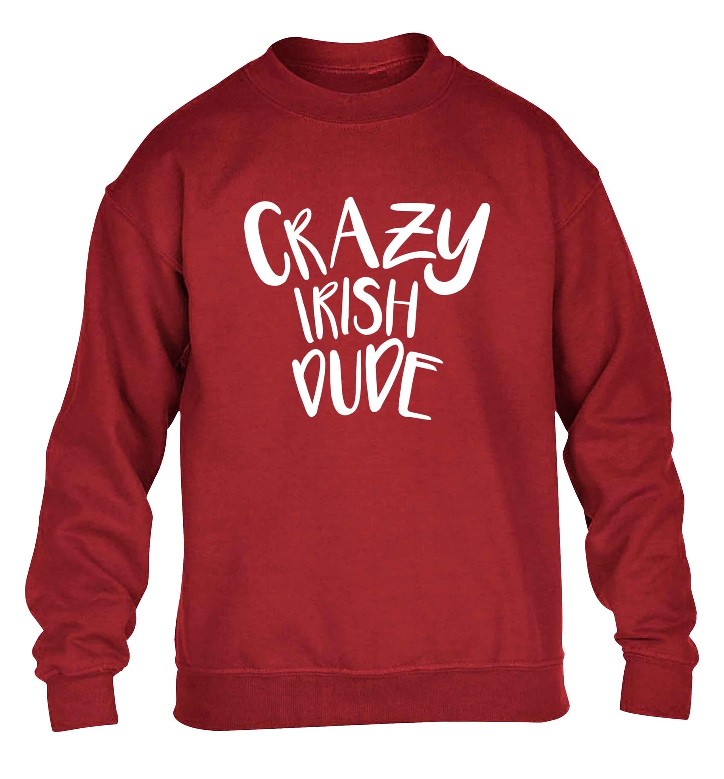 Crazy Irish dude children's grey sweater 12-13 Years