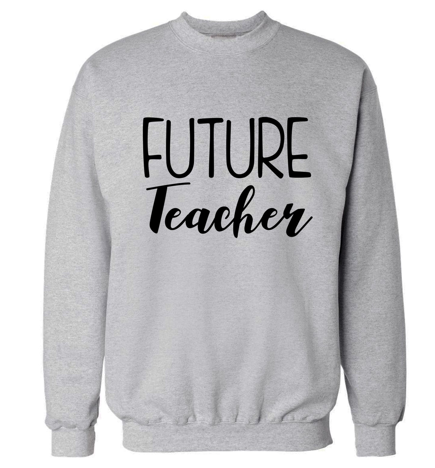 Future teacher Adult's unisex grey Sweater 2XL