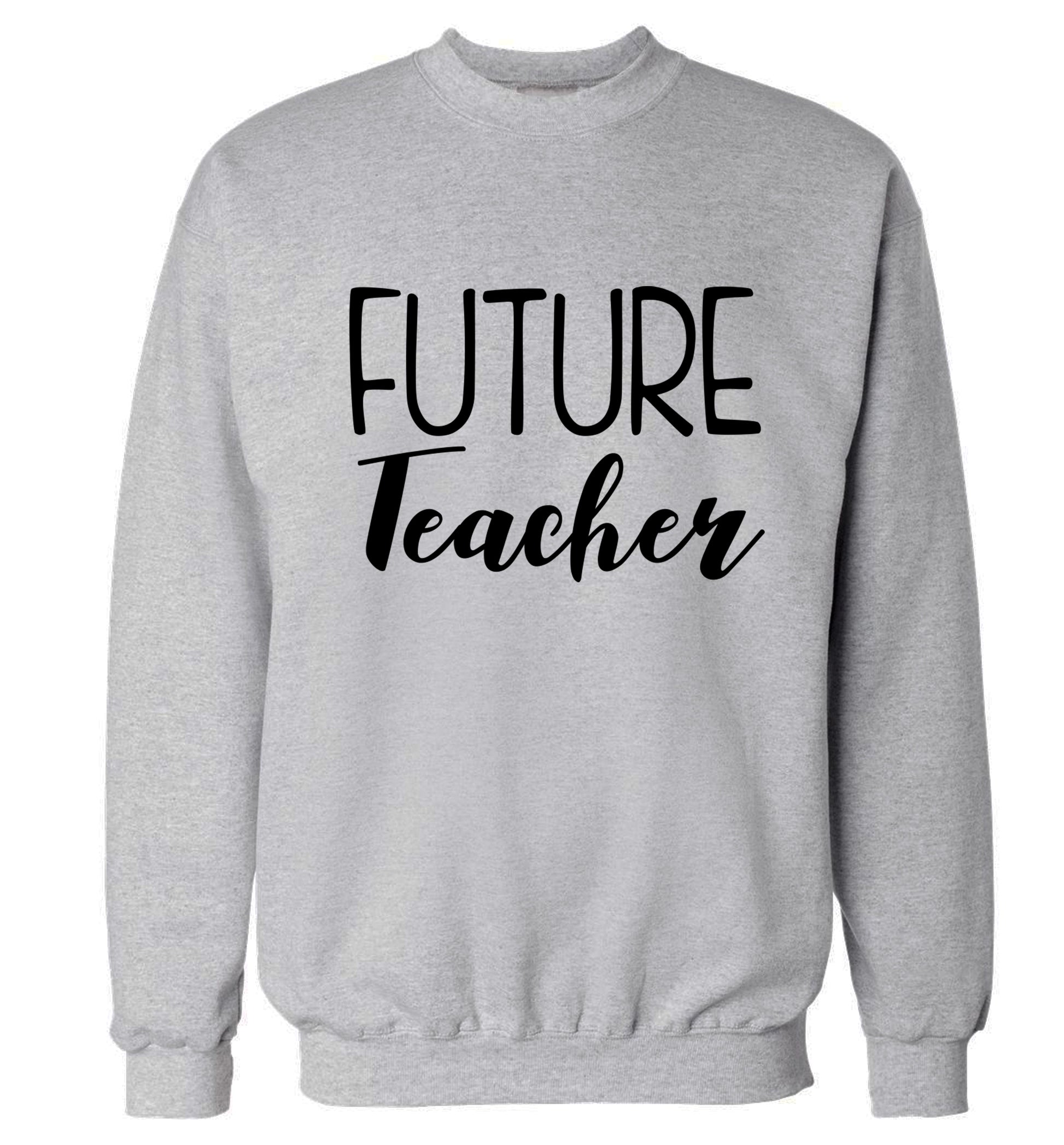 Future teacher Adult's unisex grey Sweater 2XL