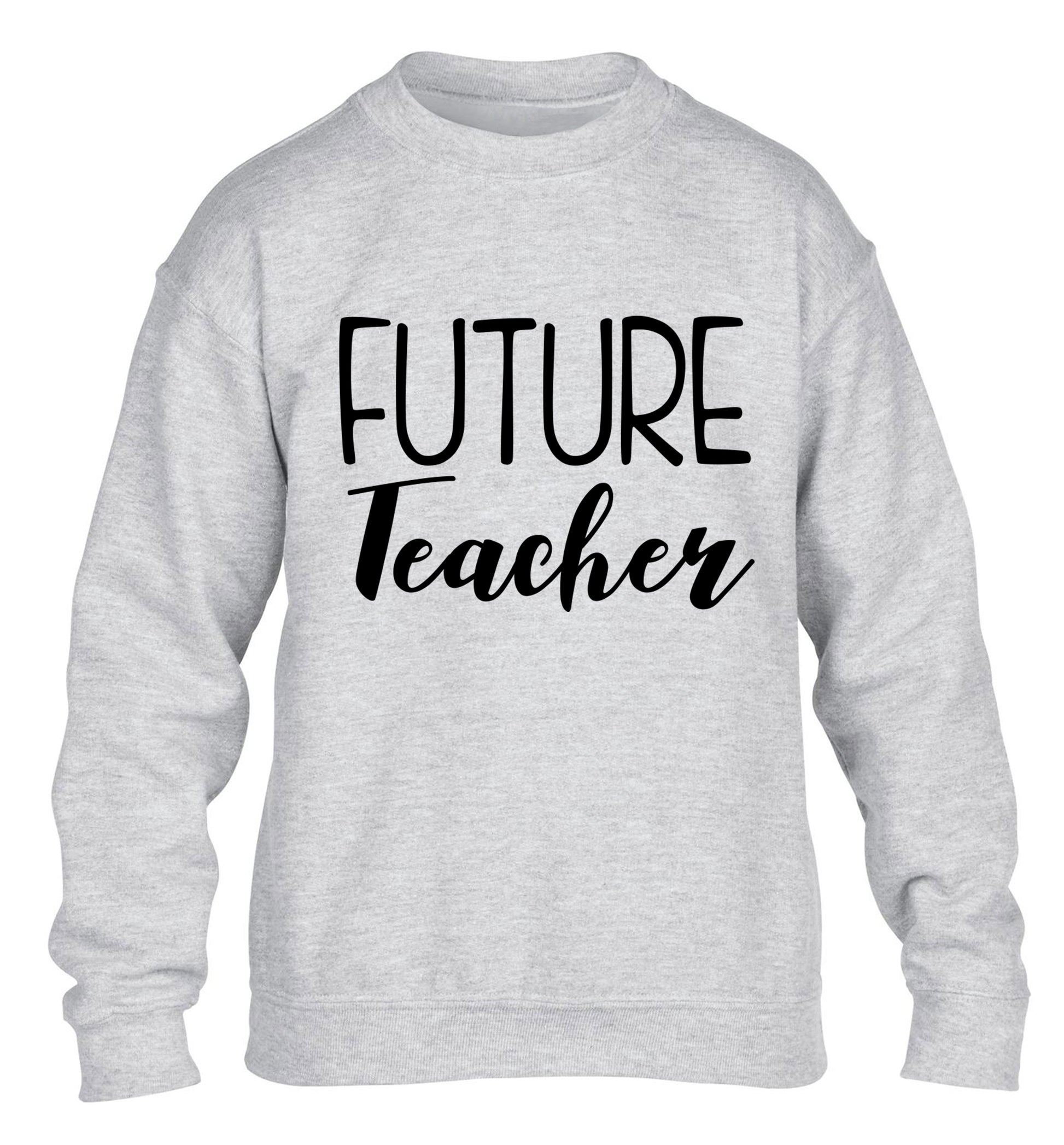 Future teacher children's grey sweater 12-13 Years