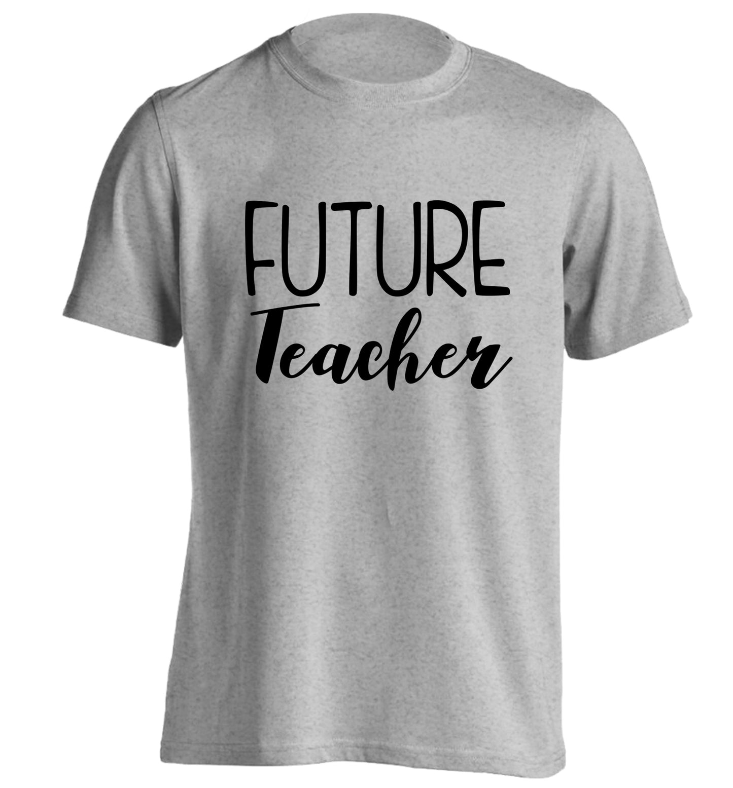 Future teacher adults unisex grey Tshirt 2XL