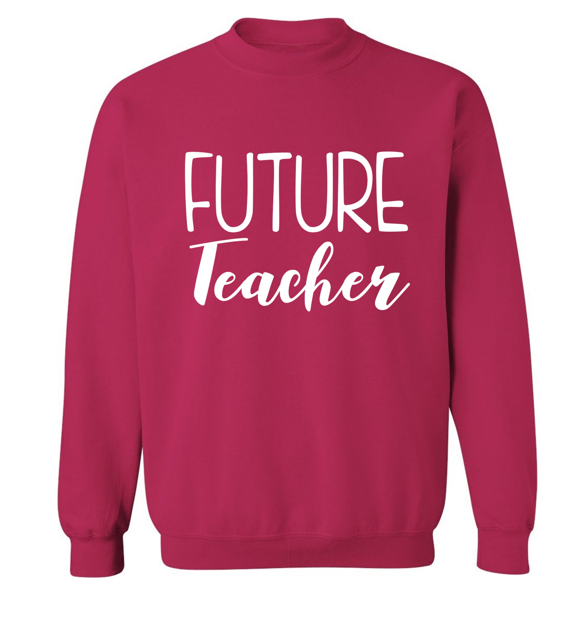 Future teacher Adult's unisex pink Sweater 2XL