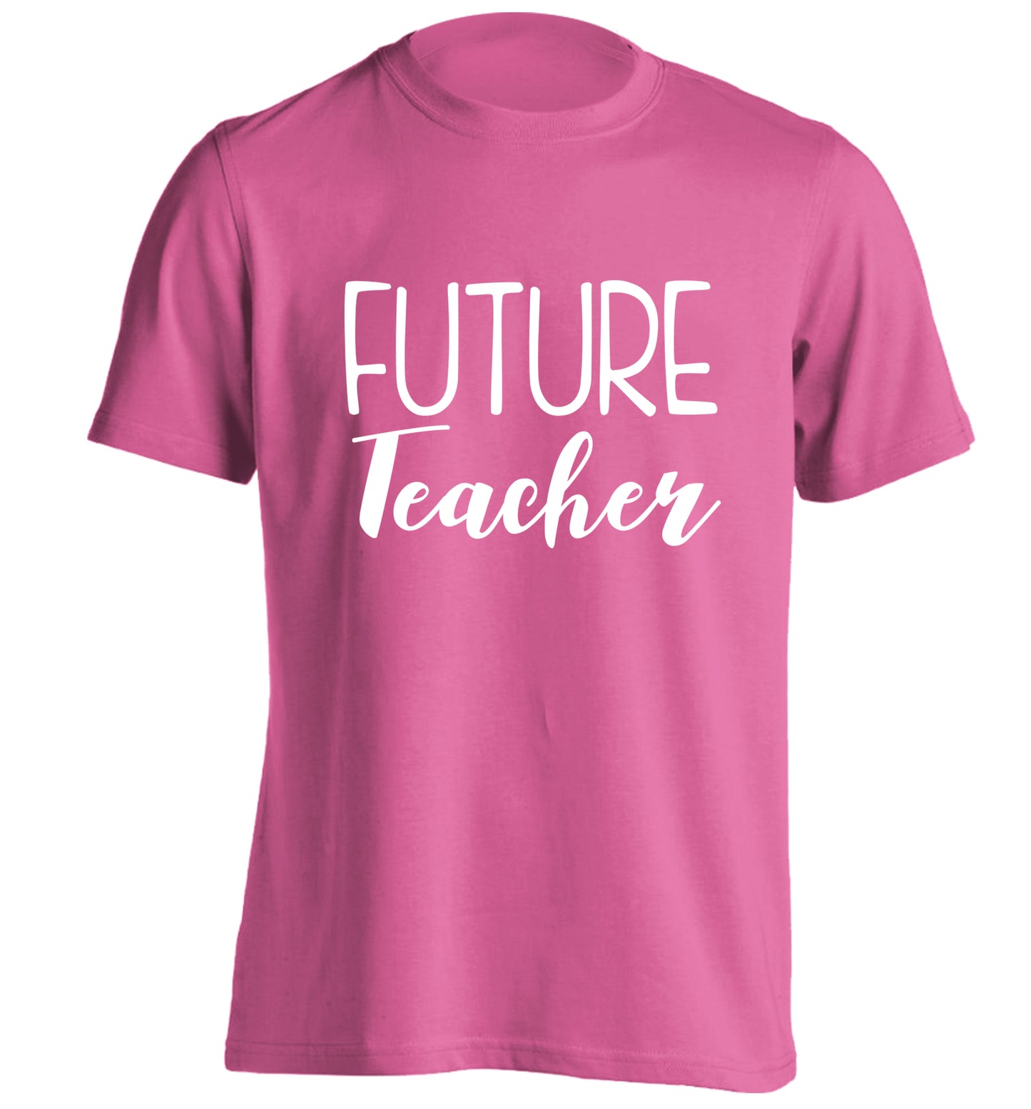 Future teacher adults unisex pink Tshirt 2XL