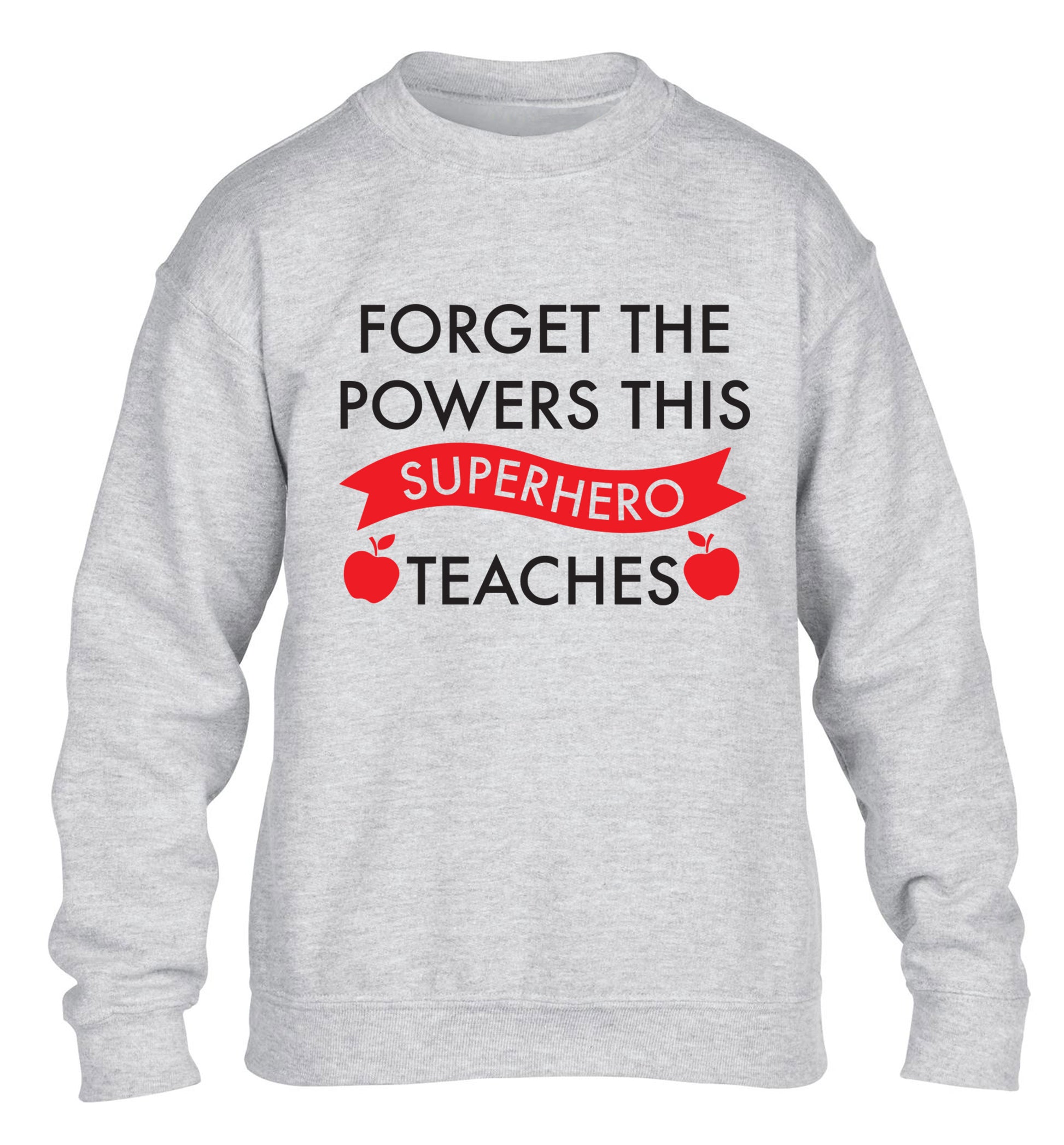 Forget the powers this superhero teaches children's grey sweater 12-13 Years