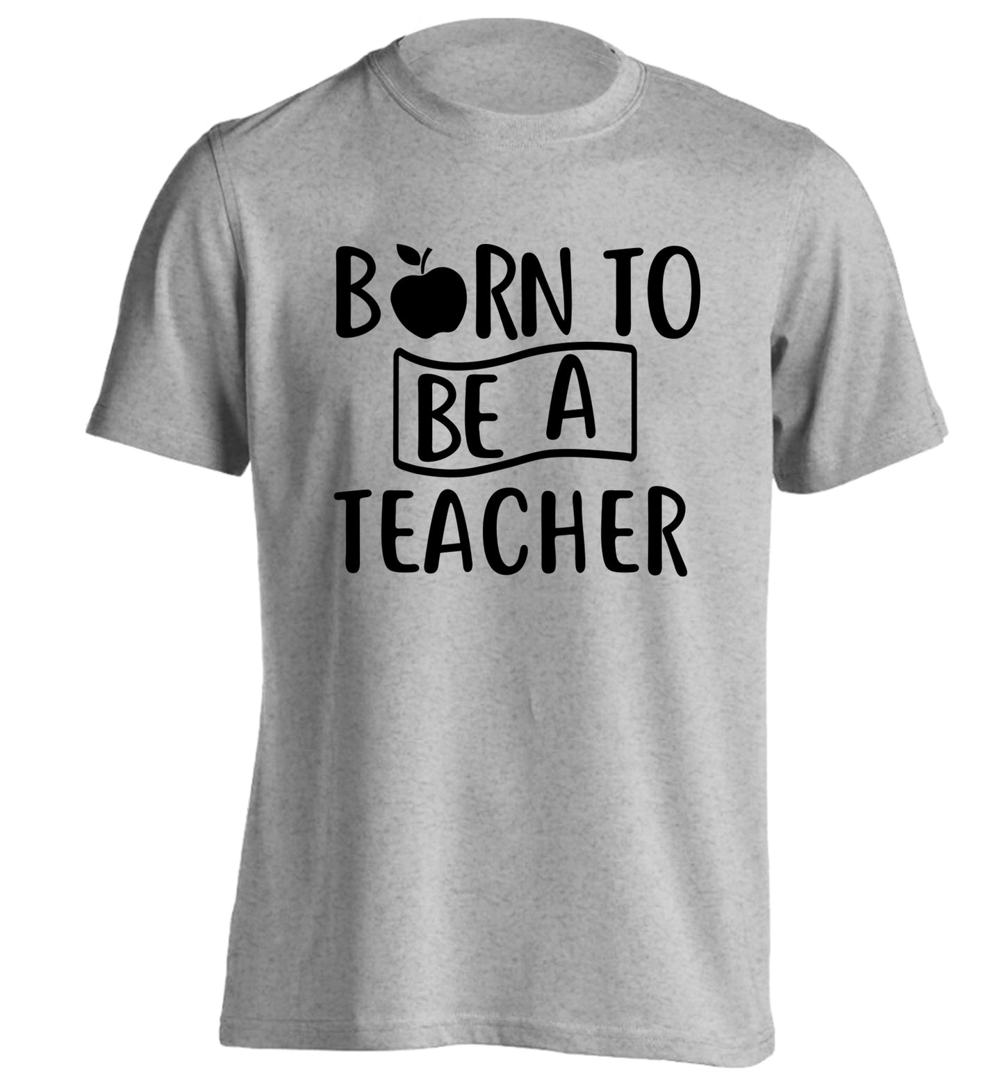 Born to be a teacher adults unisex grey Tshirt 2XL