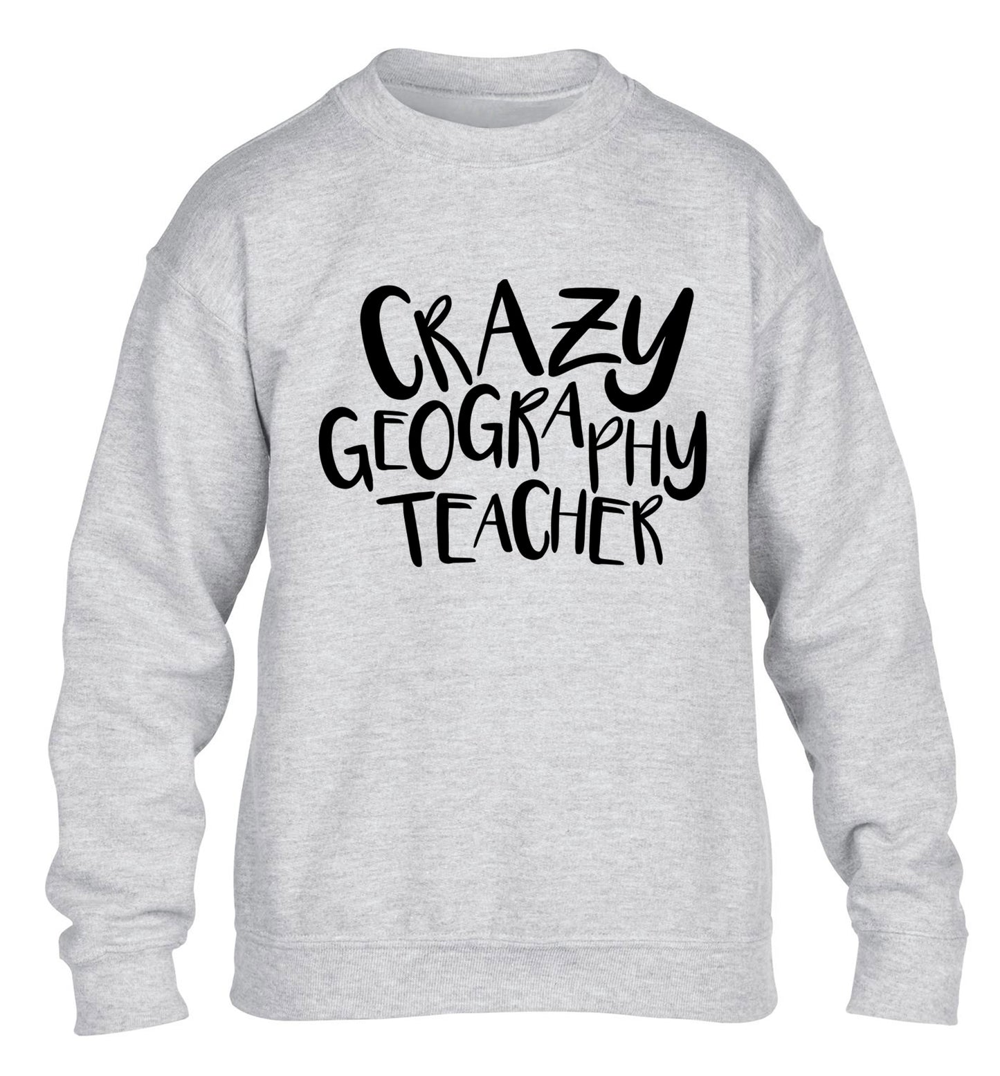 Crazy geography teacher children's grey sweater 12-13 Years