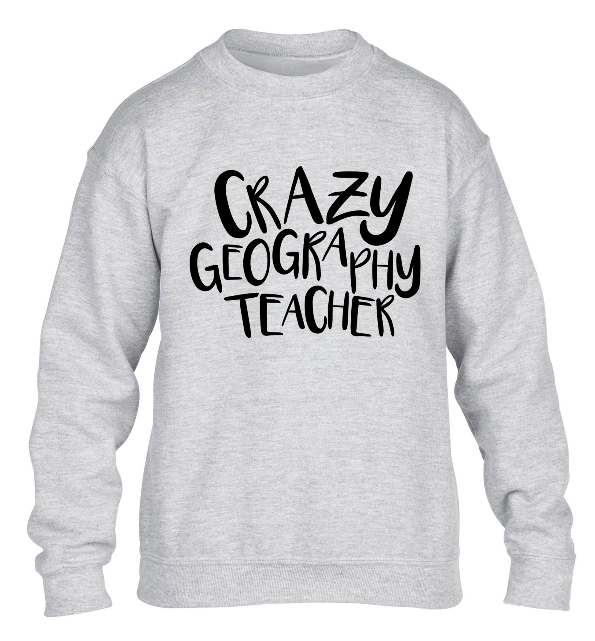 Crazy geography teacher children's grey sweater 12-13 Years