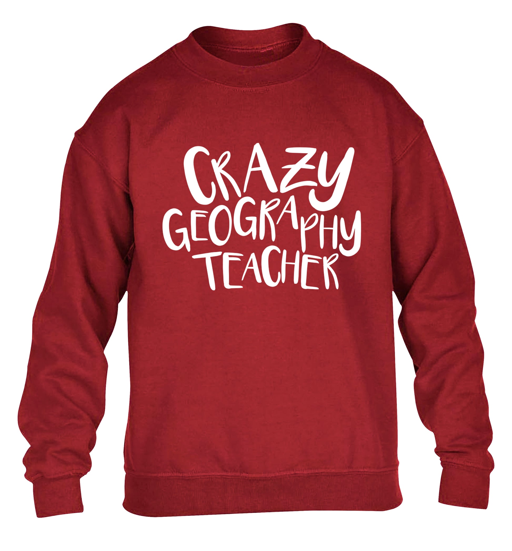 Crazy geography teacher children's grey sweater 12-13 Years