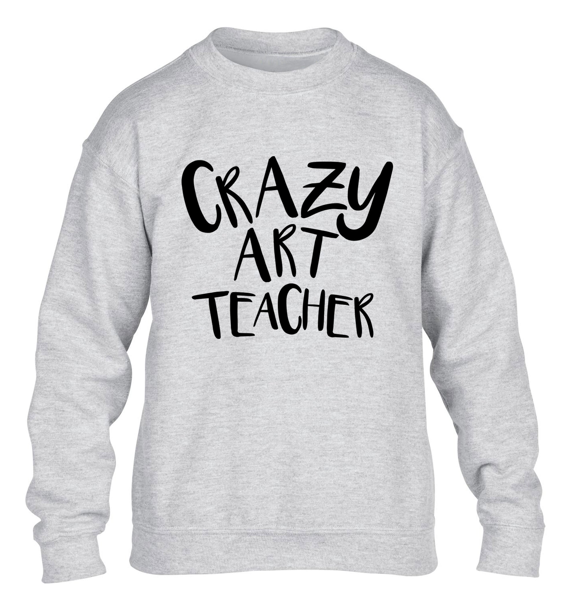 Crazy art teacher children's grey sweater 12-13 Years