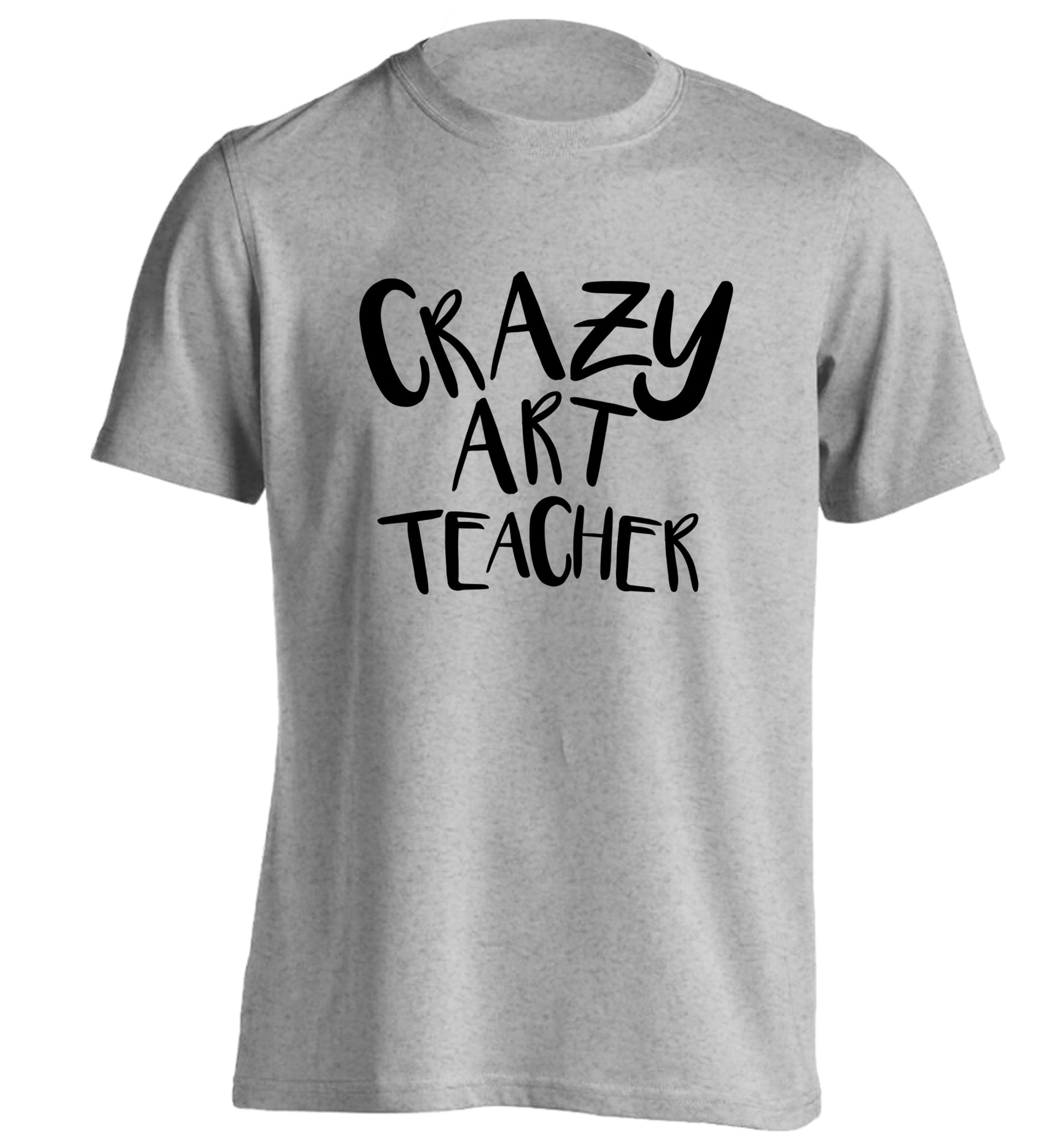 Crazy art teacher adults unisex grey Tshirt 2XL