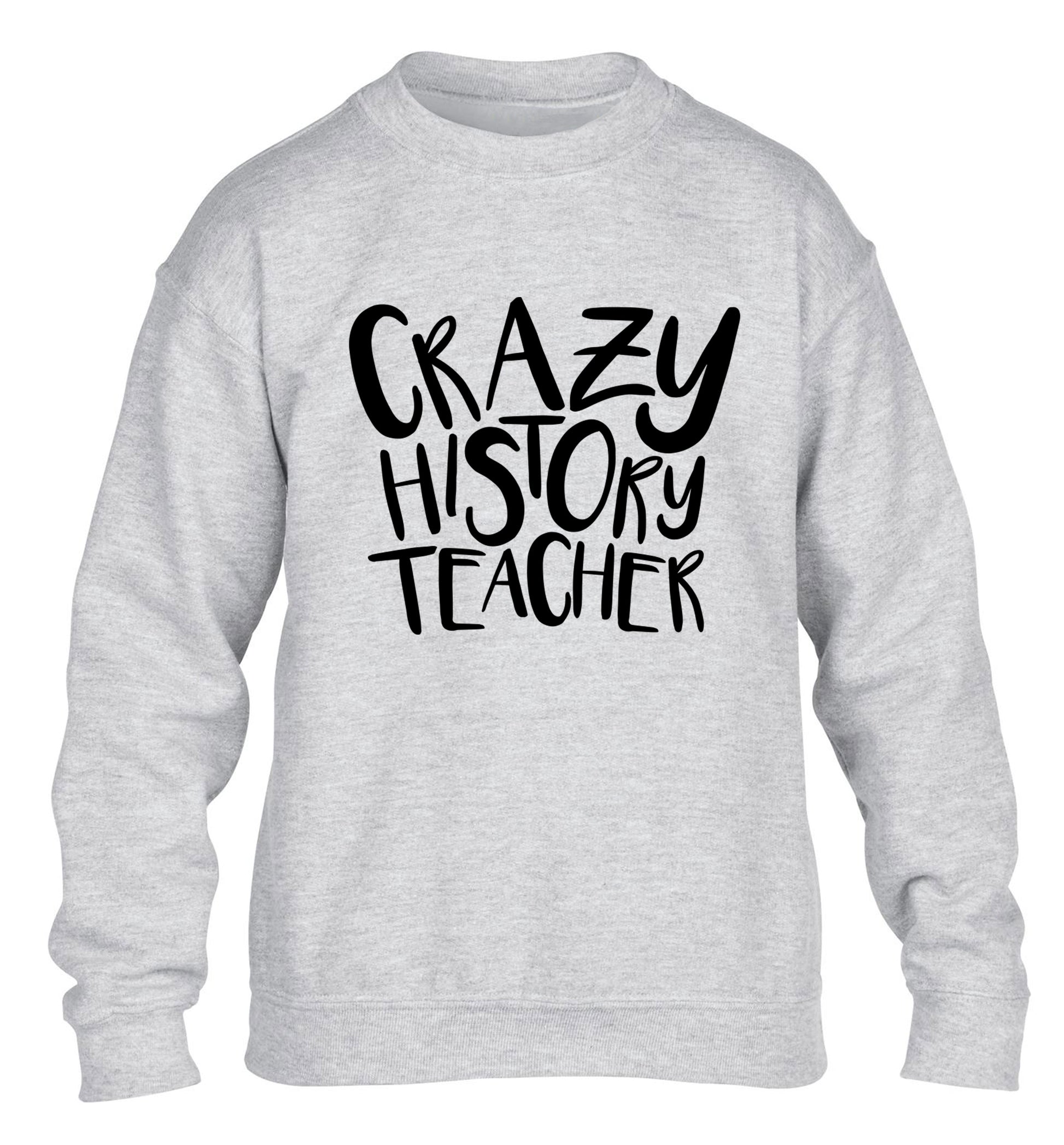 Crazy history teacher children's grey sweater 12-13 Years