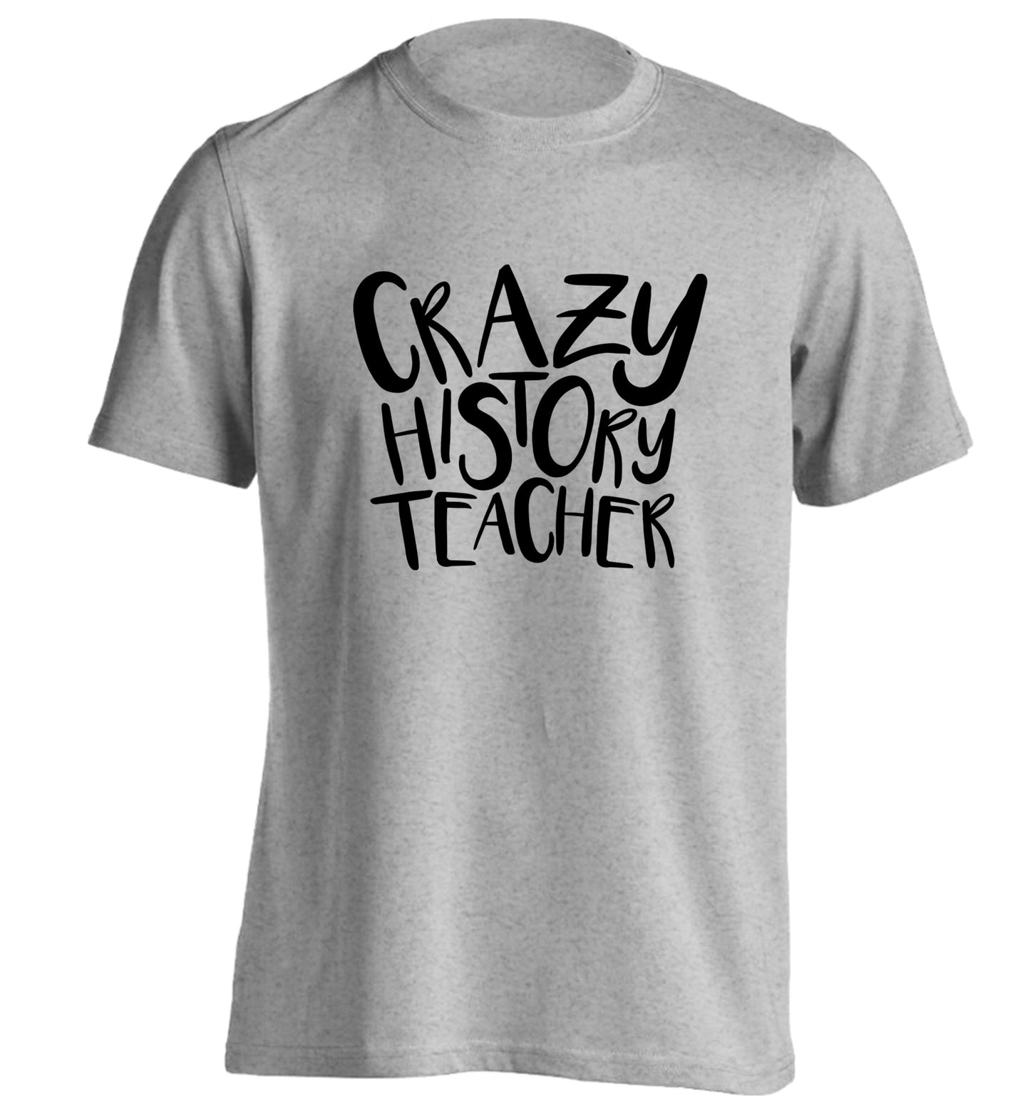 Crazy history teacher adults unisex grey Tshirt 2XL