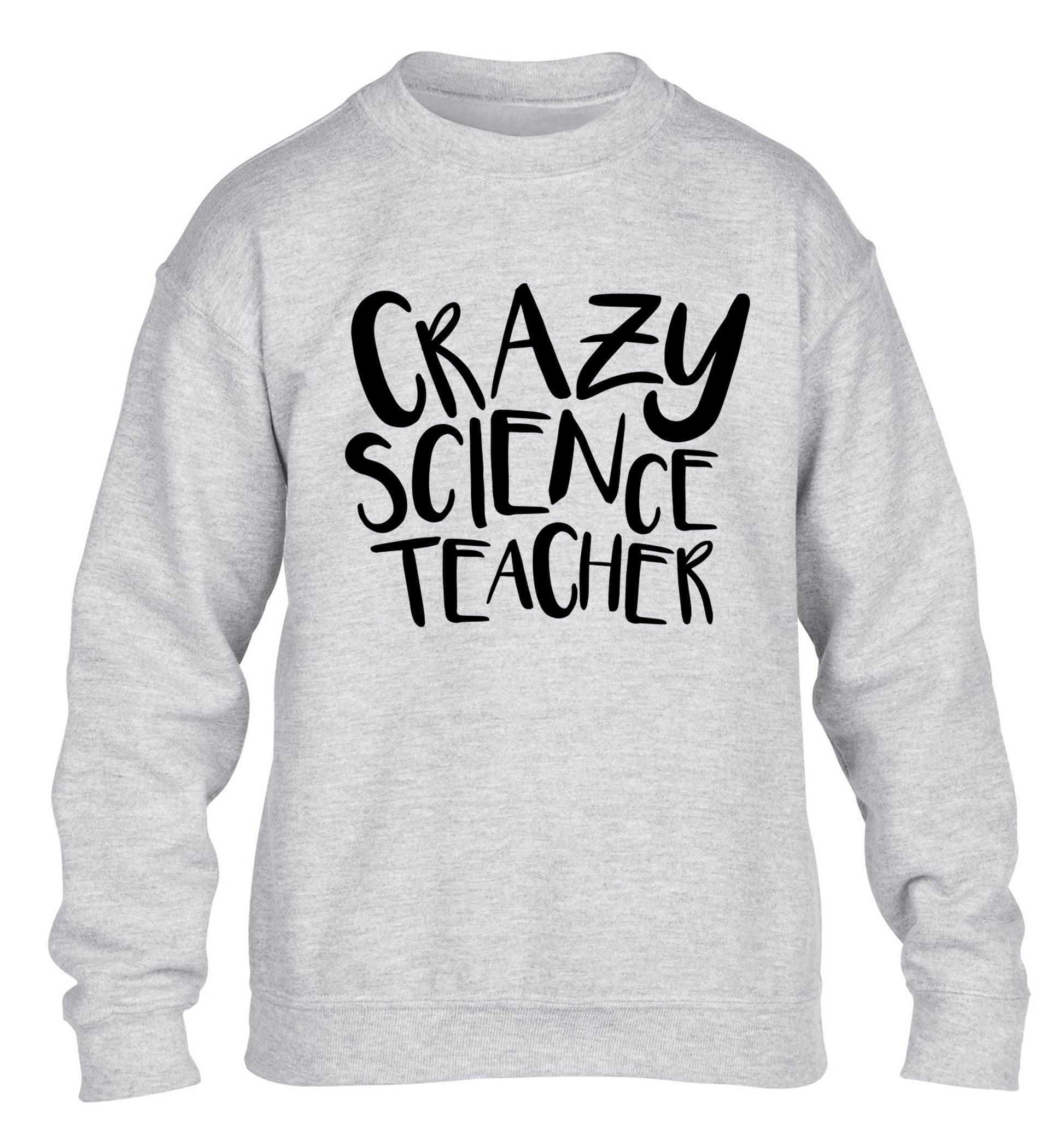 Crazy science teacher children's grey sweater 12-13 Years