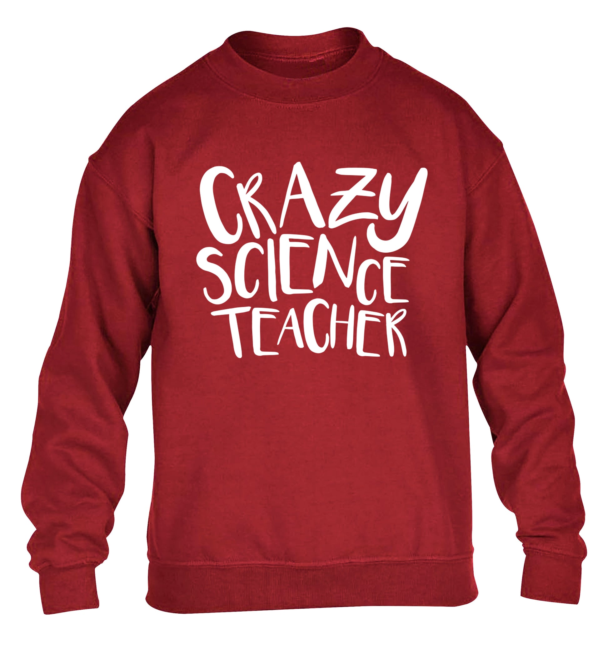 Crazy science teacher children's grey sweater 12-13 Years