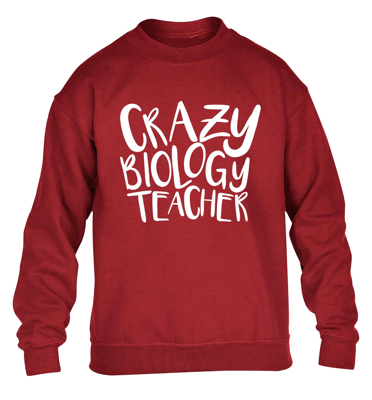 Crazy biology teacher children's grey sweater 12-13 Years