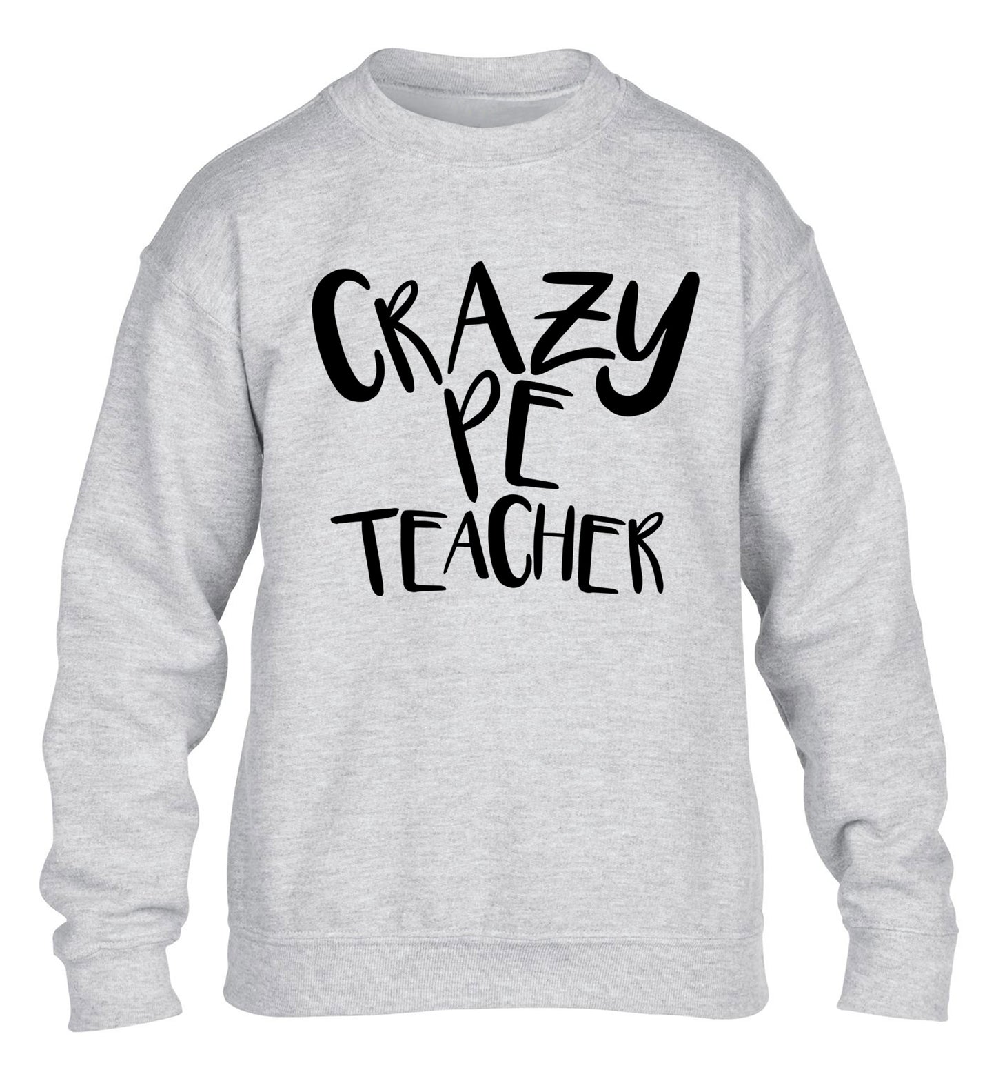 Crazy PE teacher children's grey sweater 12-13 Years