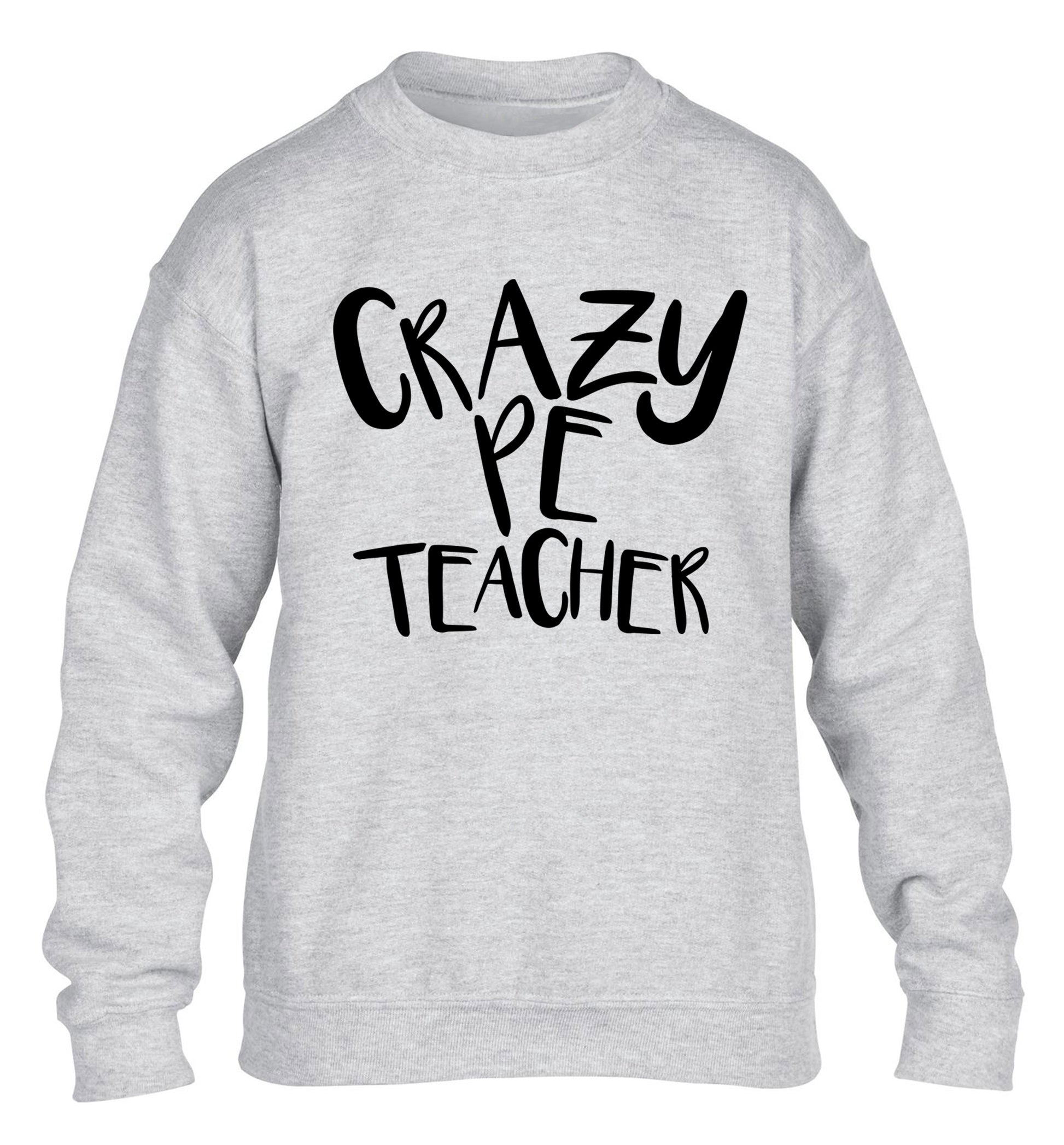 Crazy PE teacher children's grey sweater 12-13 Years