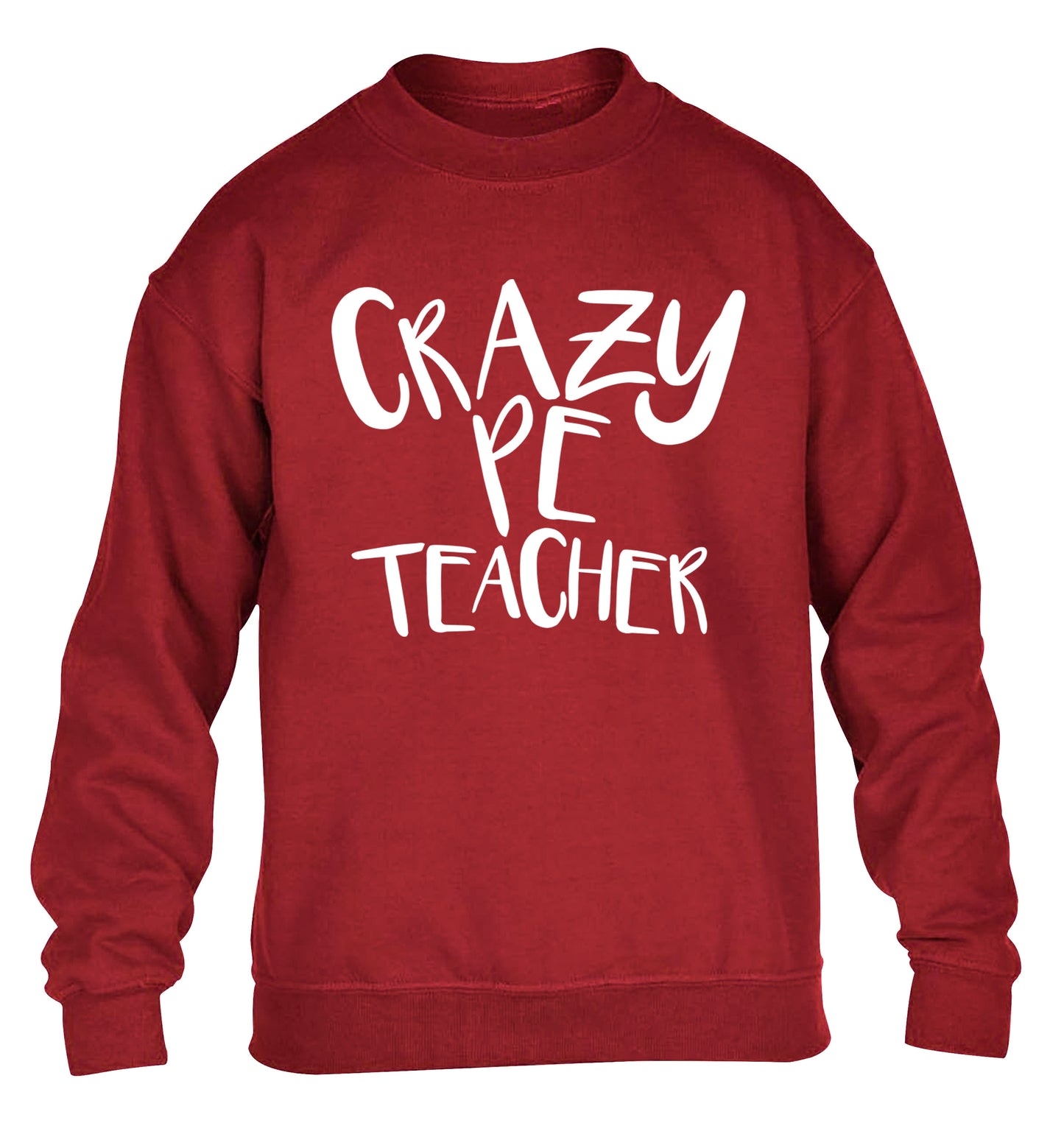 Crazy PE teacher children's grey sweater 12-13 Years