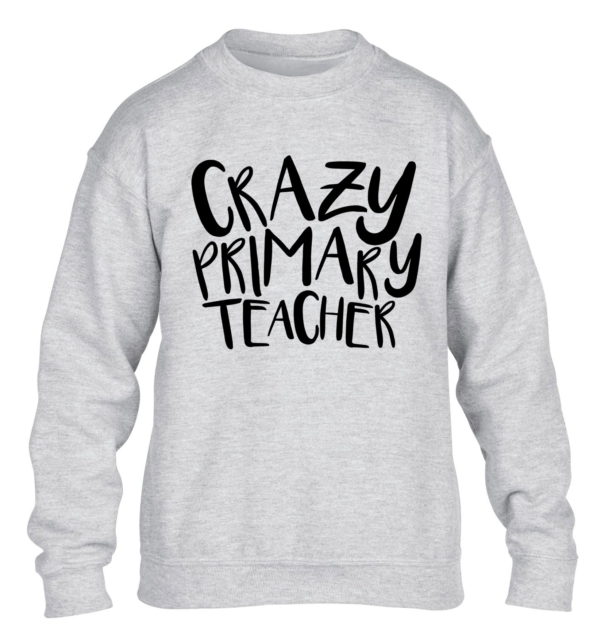 Crazy primary teacher children's grey sweater 12-13 Years