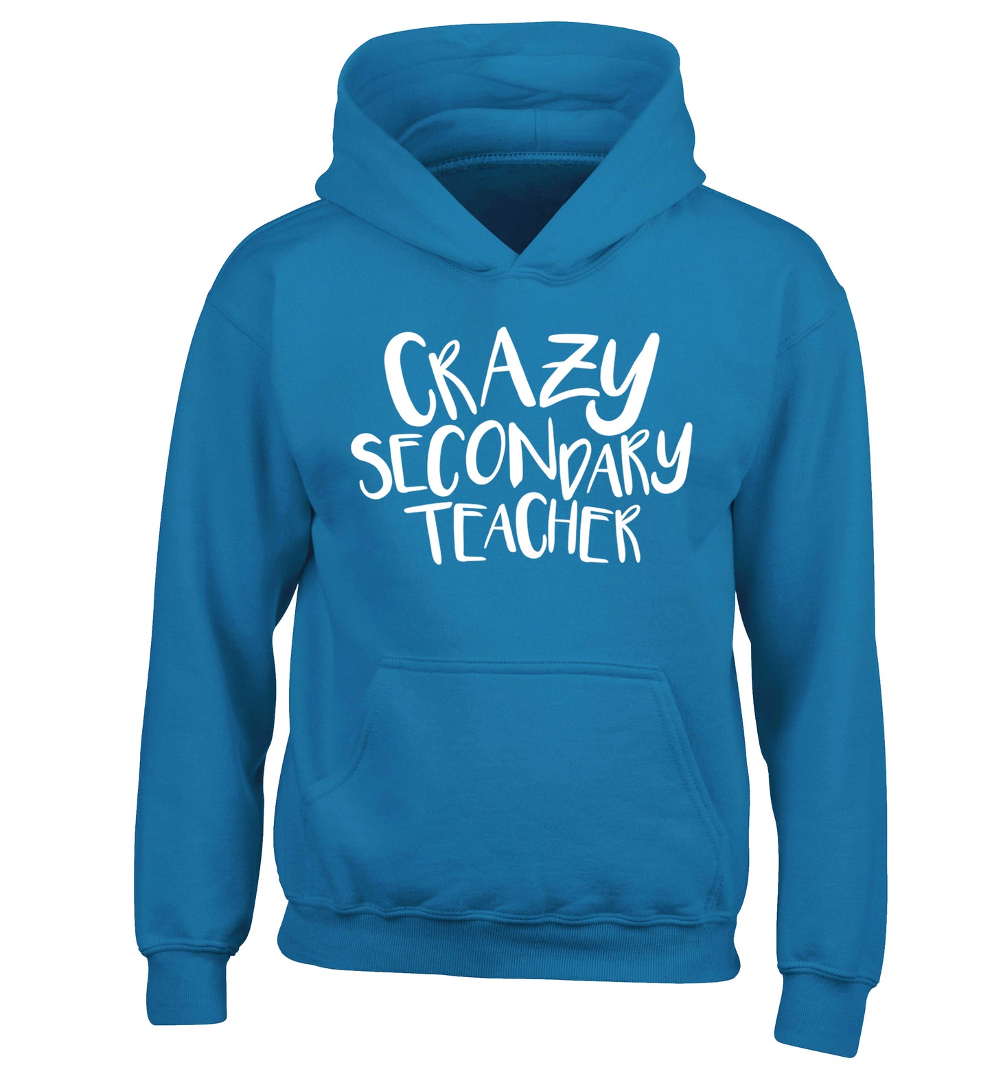 Crazy secondary teacher children's blue hoodie 12-13 Years