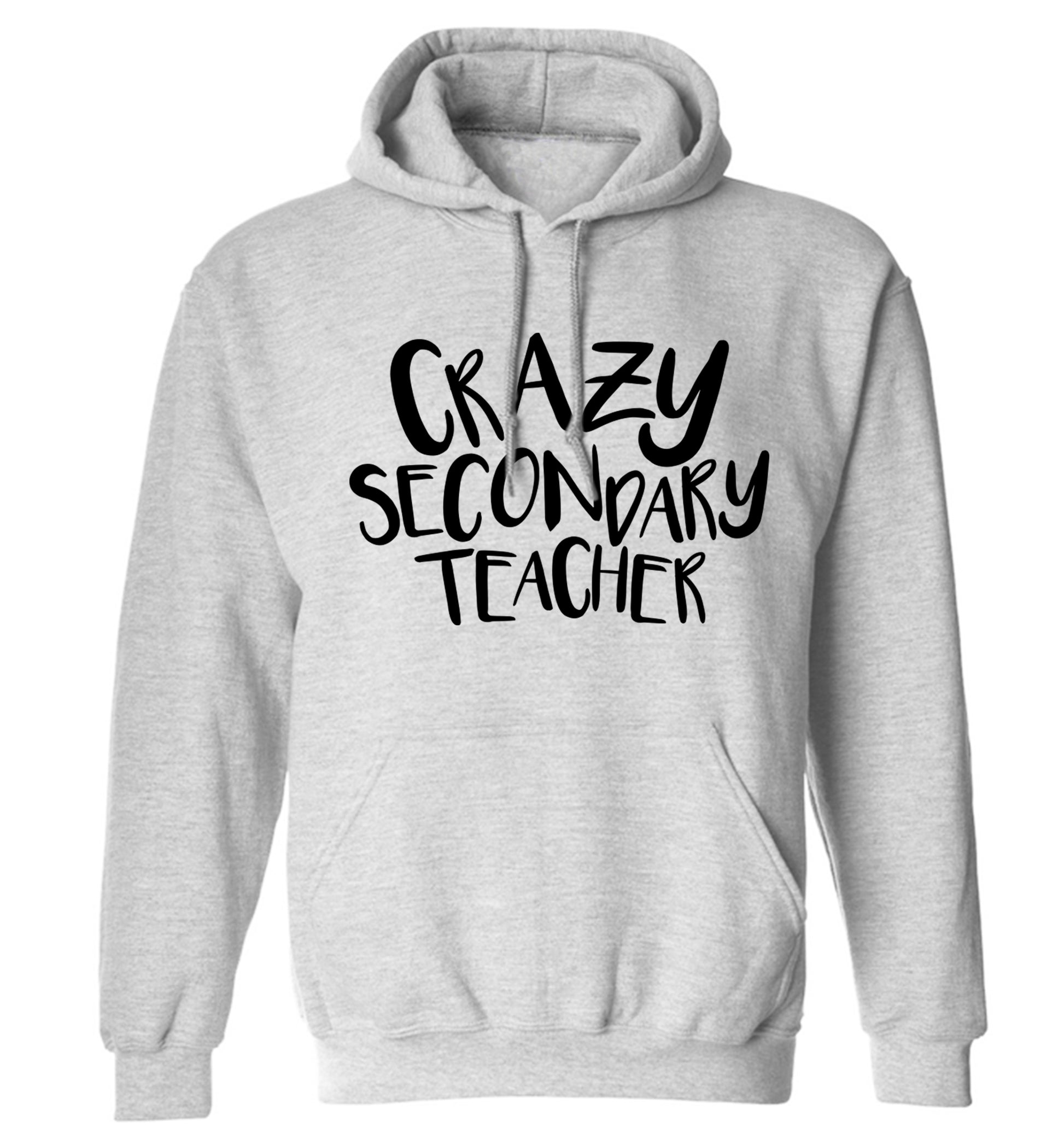 Crazy secondary teacher adults unisex grey hoodie 2XL