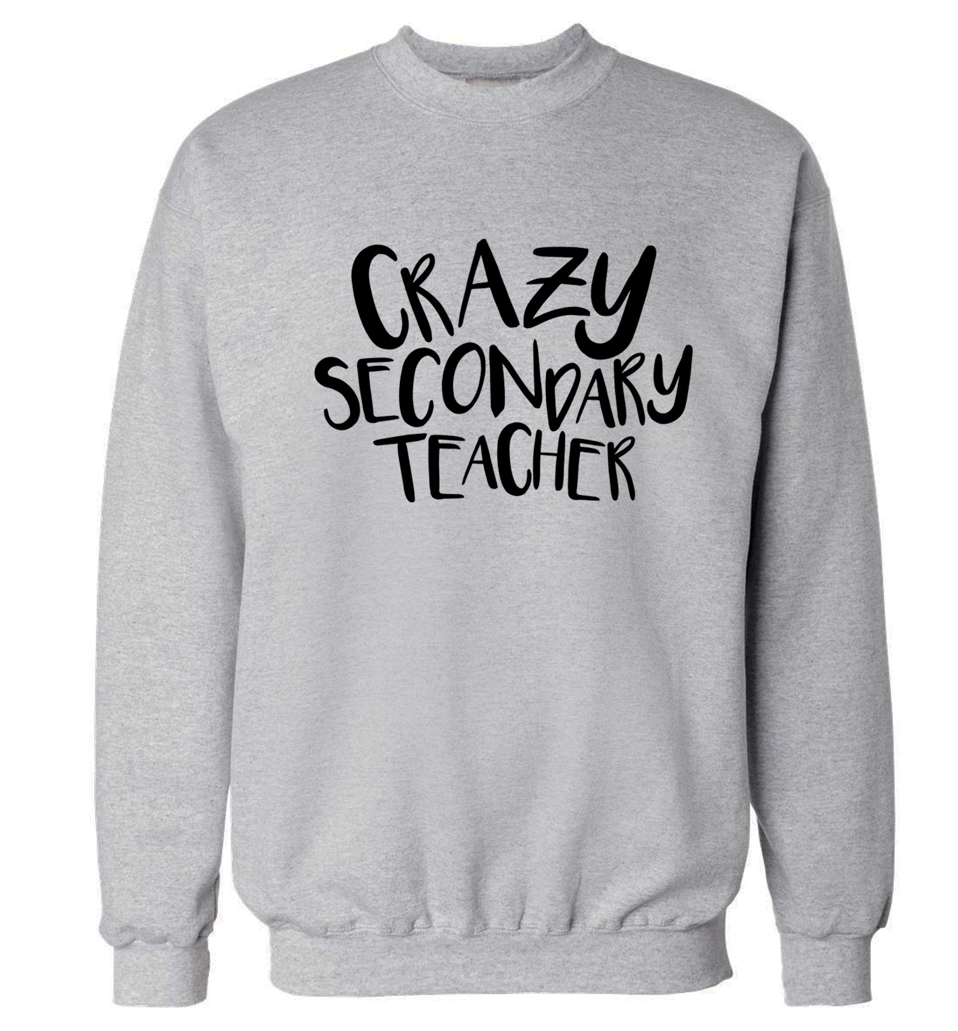 Crazy secondary teacher Adult's unisex grey Sweater 2XL