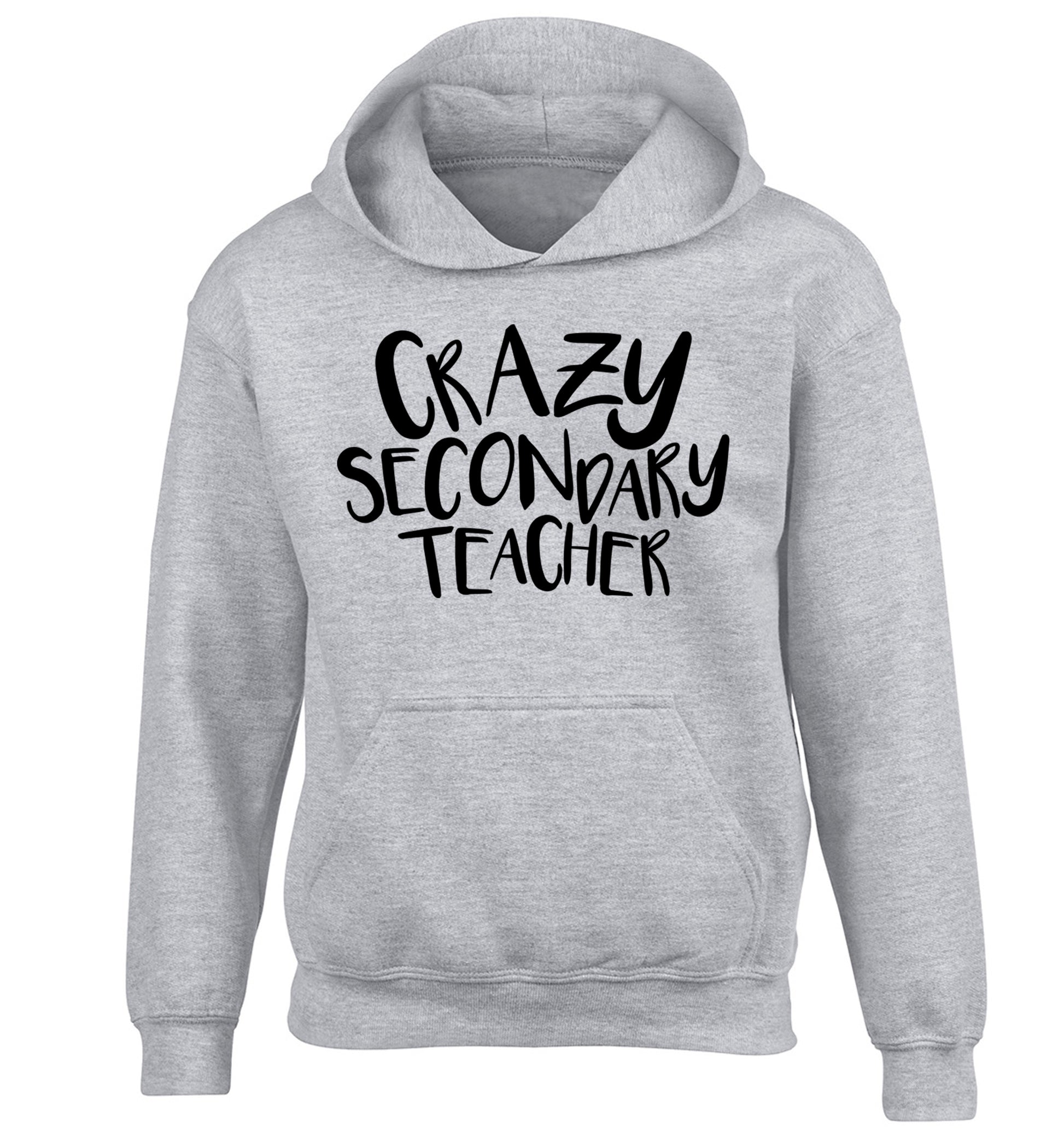 Crazy secondary teacher children's grey hoodie 12-13 Years