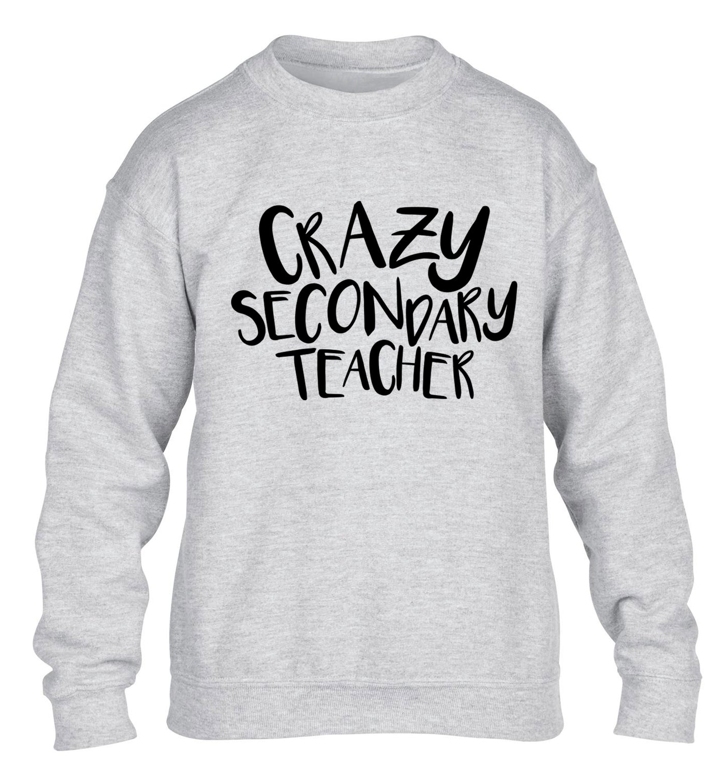 Crazy secondary teacher children's grey sweater 12-13 Years