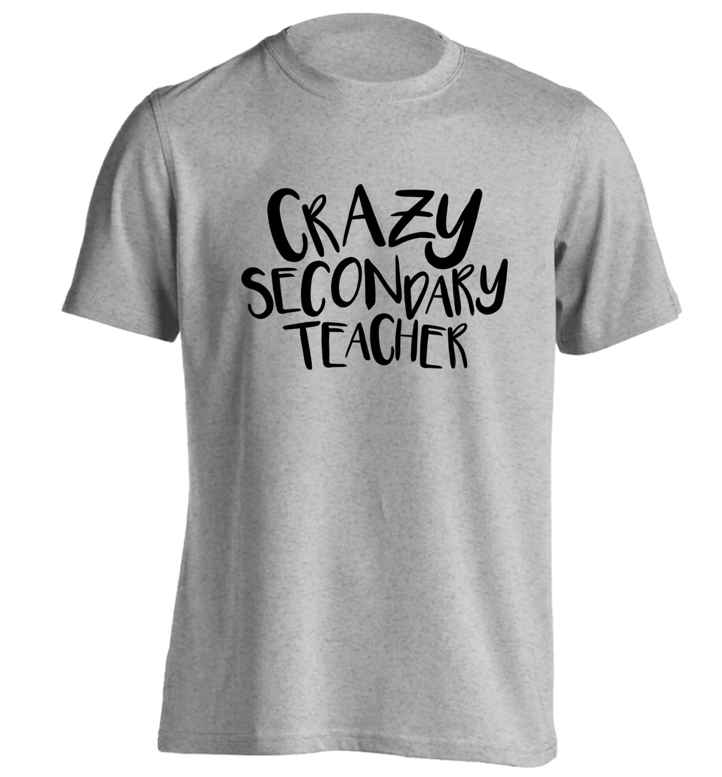 Crazy secondary teacher adults unisex grey Tshirt 2XL