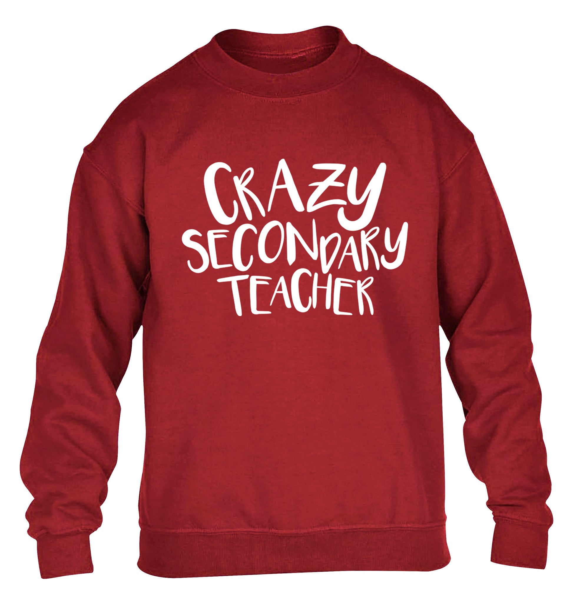 Crazy secondary teacher children's grey sweater 12-13 Years