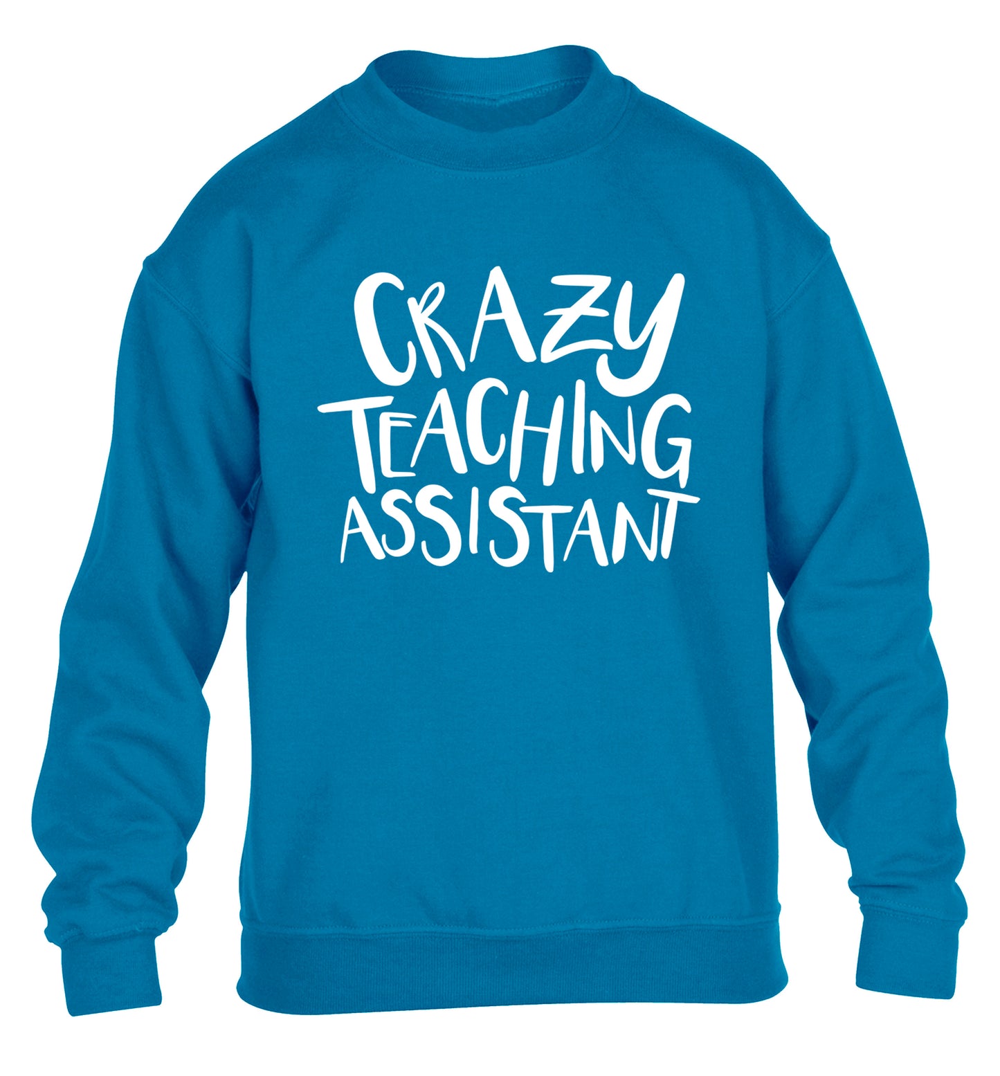 Crazy Teaching Assistant children's blue sweater 12-13 Years