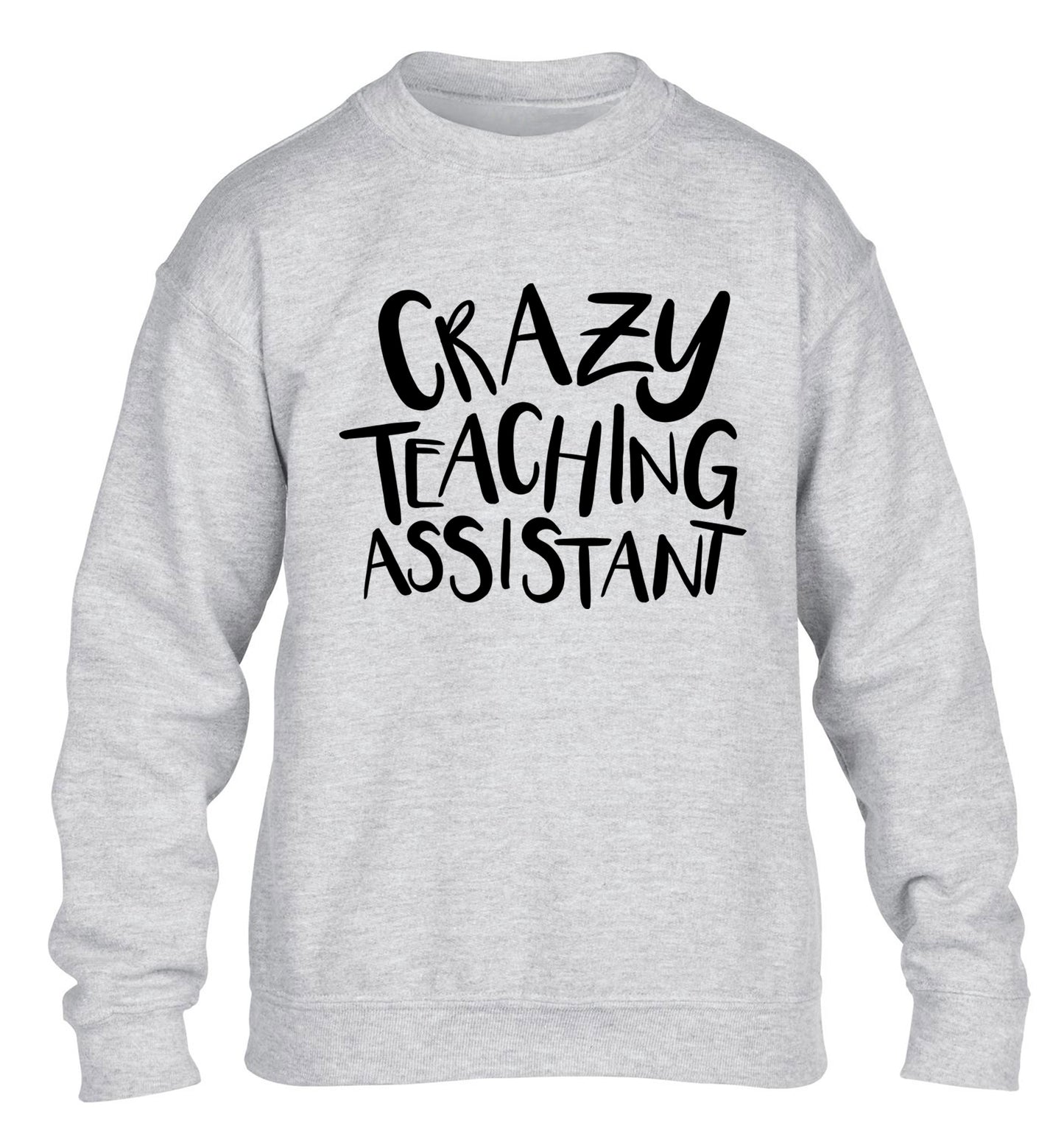 Crazy Teaching Assistant children's grey sweater 12-13 Years