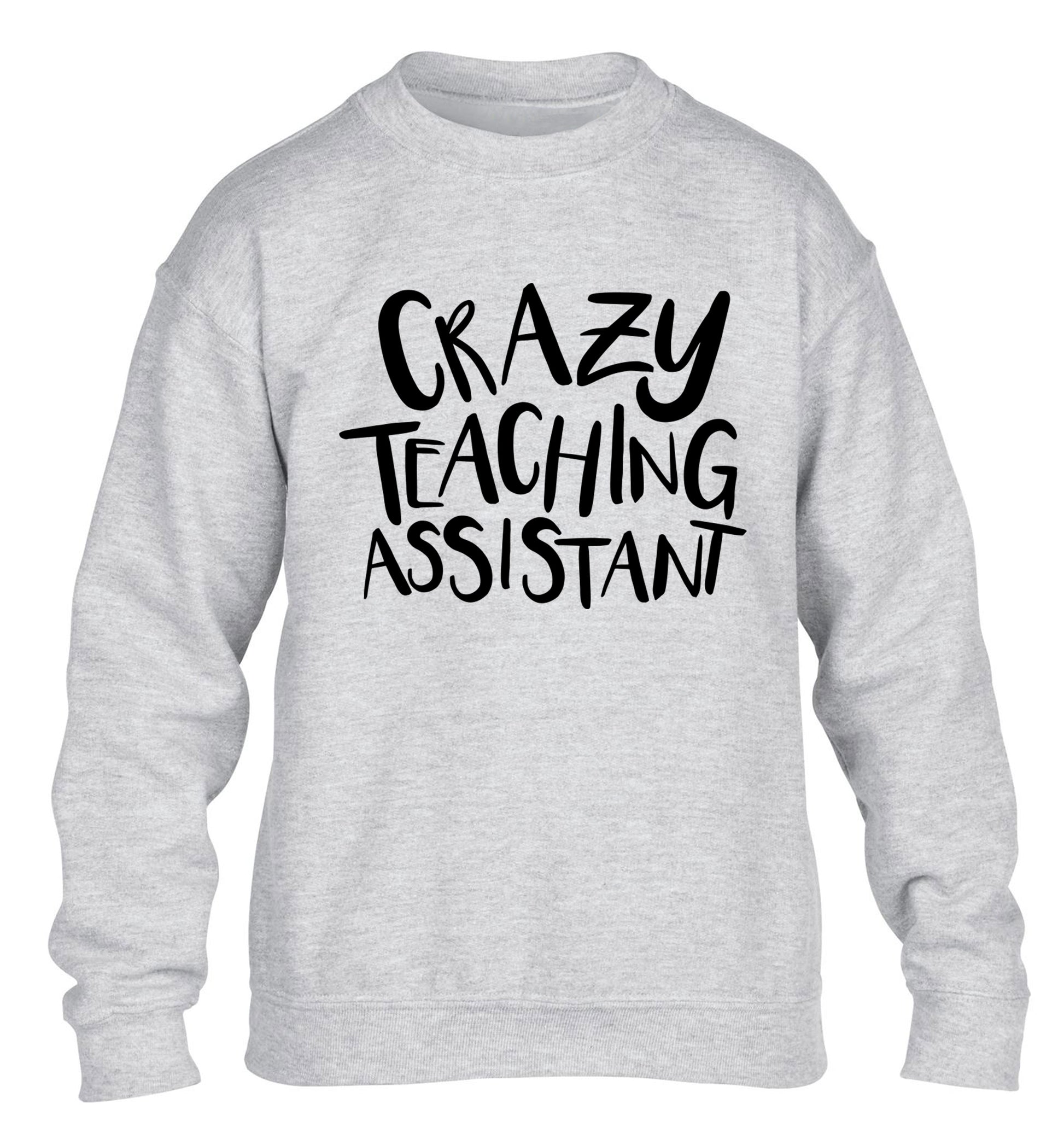 Crazy Teaching Assistant children's grey sweater 12-13 Years