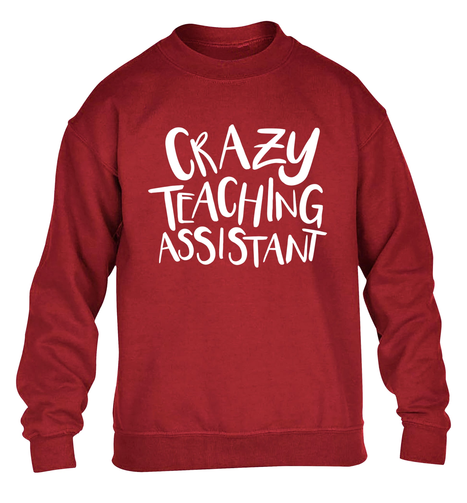 Crazy Teaching Assistant children's grey sweater 12-13 Years