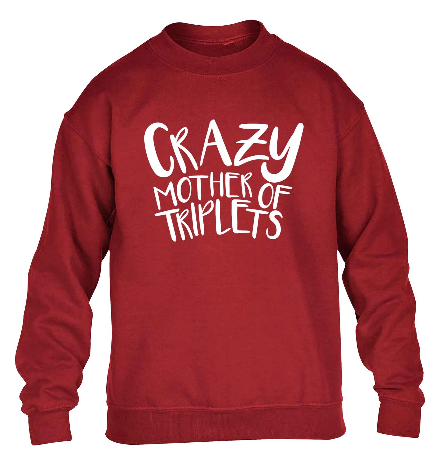 Crazy mother of triplets children's grey sweater 12-13 Years