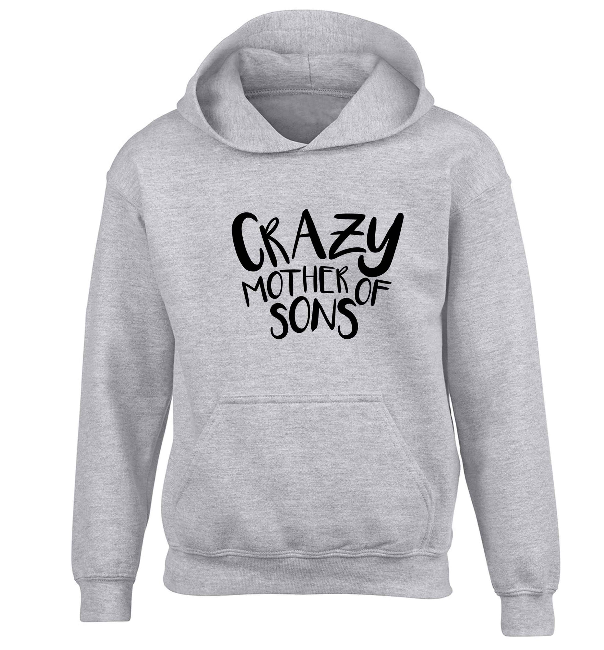 Crazy mother of sons children's grey hoodie 12-13 Years
