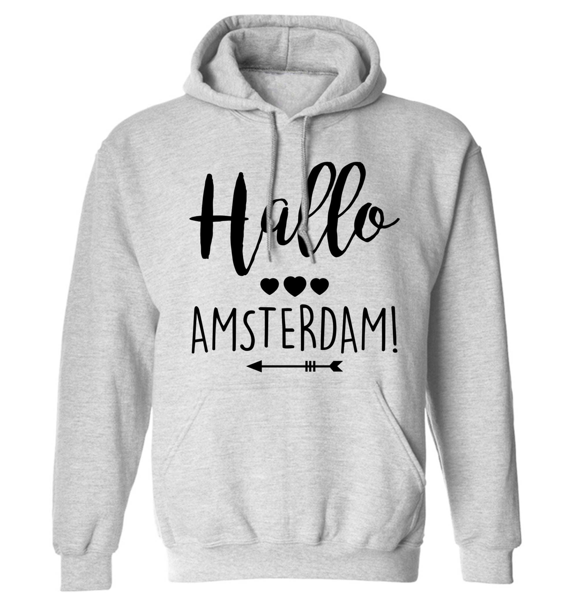 Hallo Amsterdam adults unisex grey hoodie 2XL