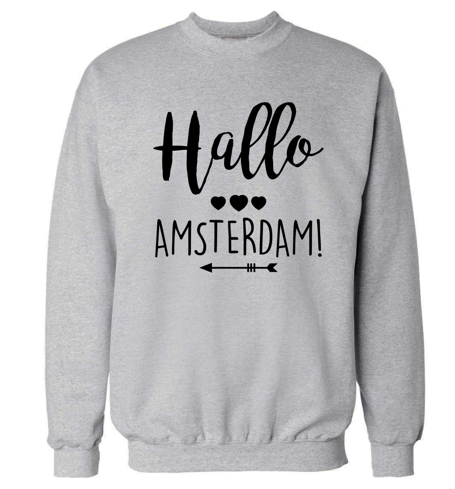 Hallo Amsterdam Adult's unisex grey Sweater 2XL