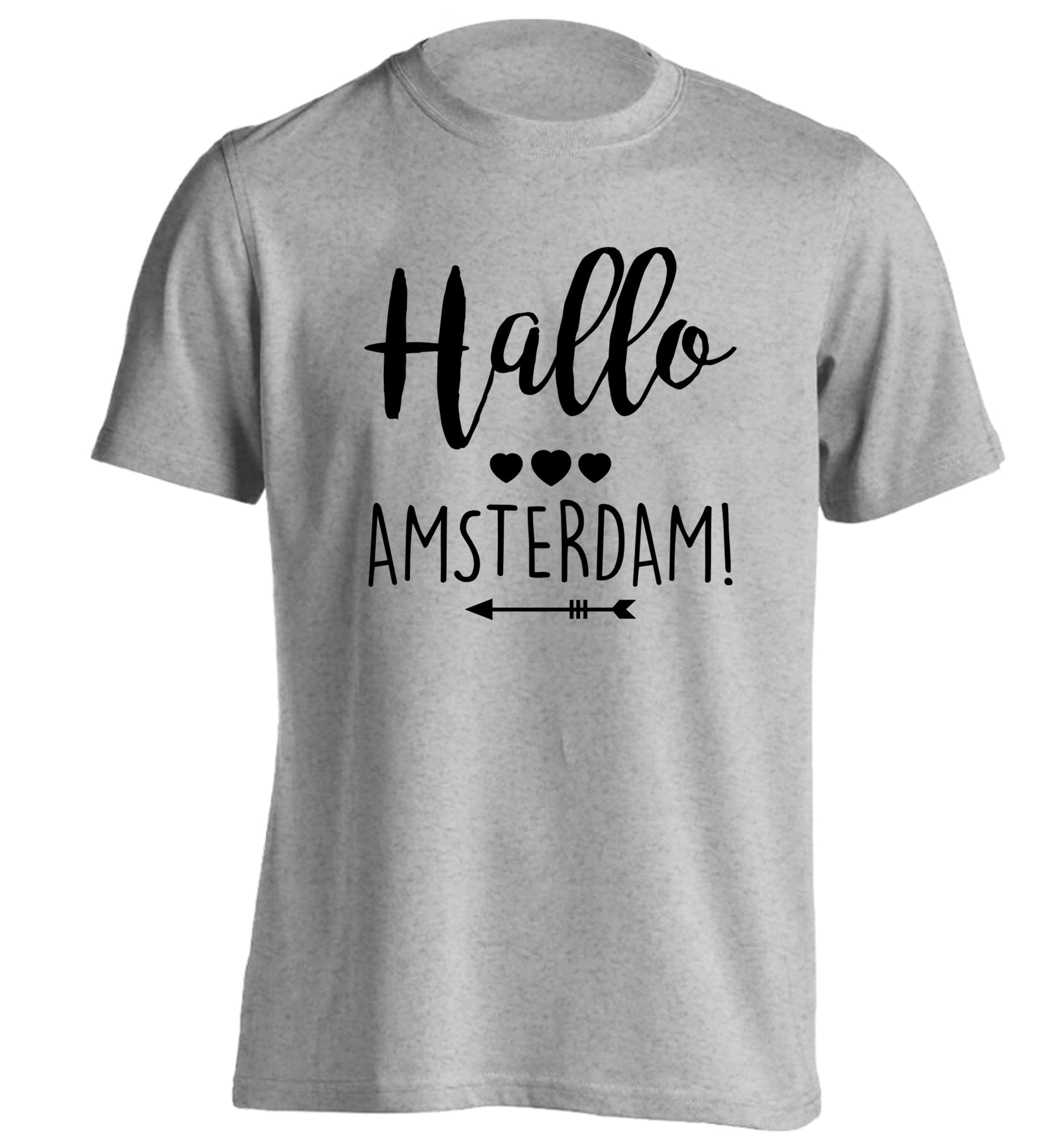 Hallo Amsterdam adults unisex grey Tshirt 2XL