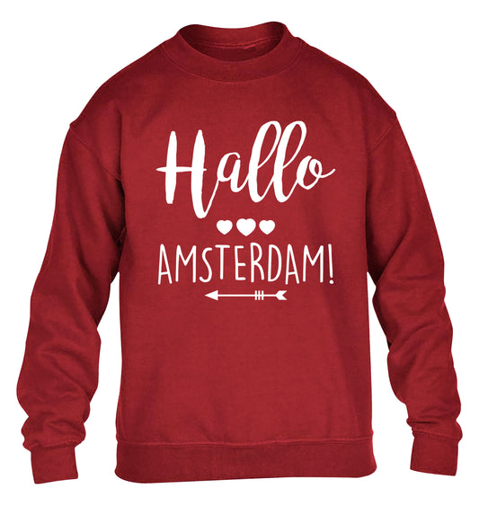 Hallo Amsterdam children's grey sweater 12-13 Years