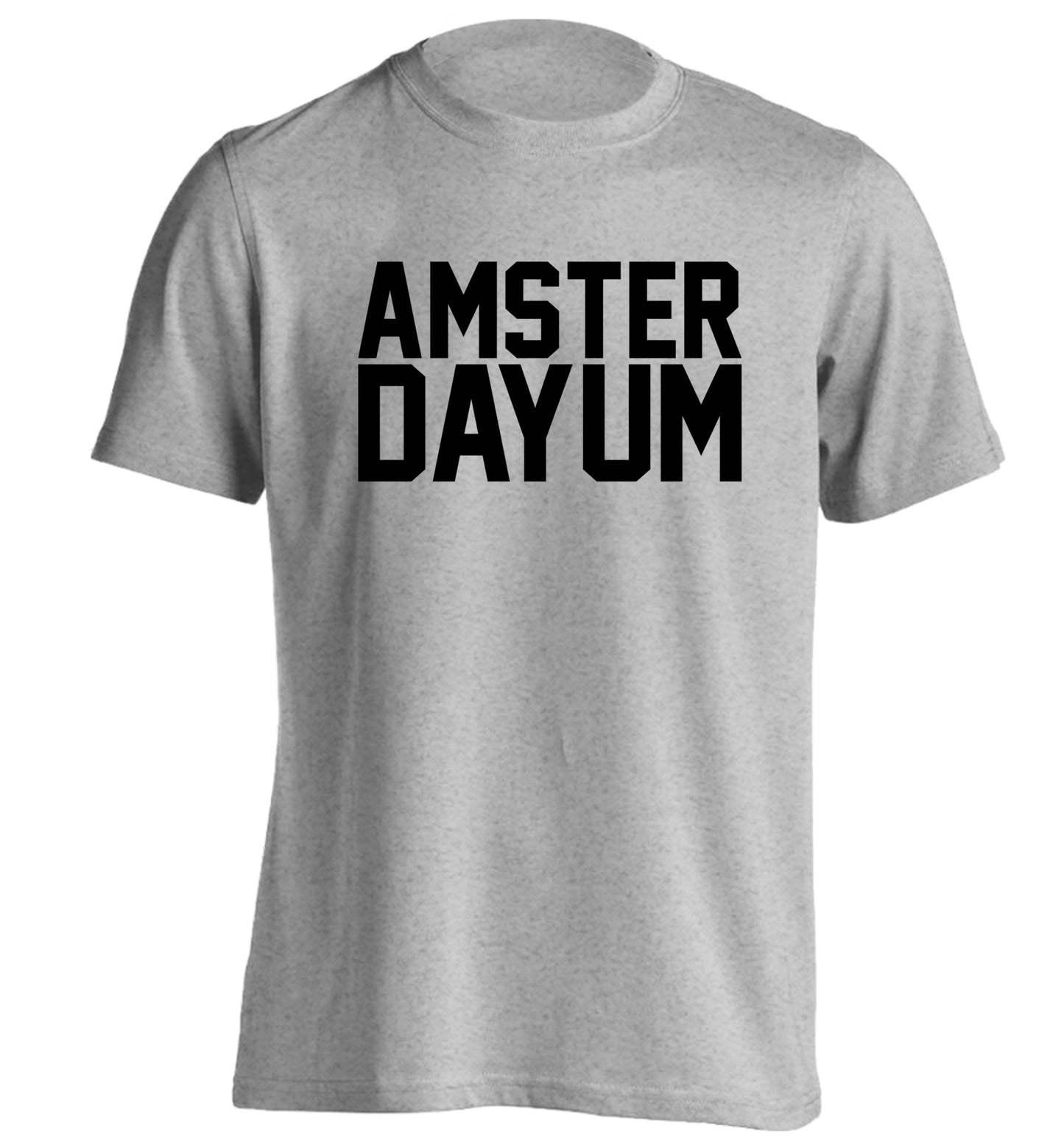 Amsterdayum adults unisex grey Tshirt 2XL