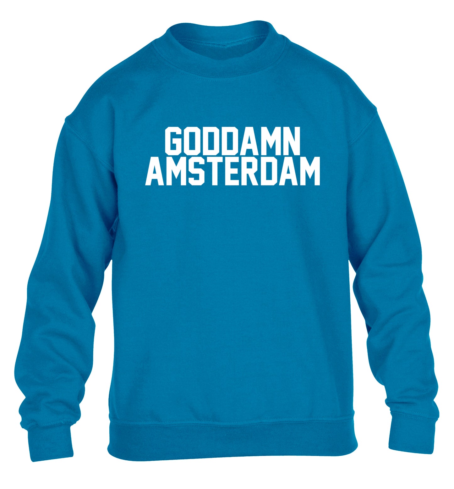 Goddamn Amsterdam children's blue sweater 12-13 Years