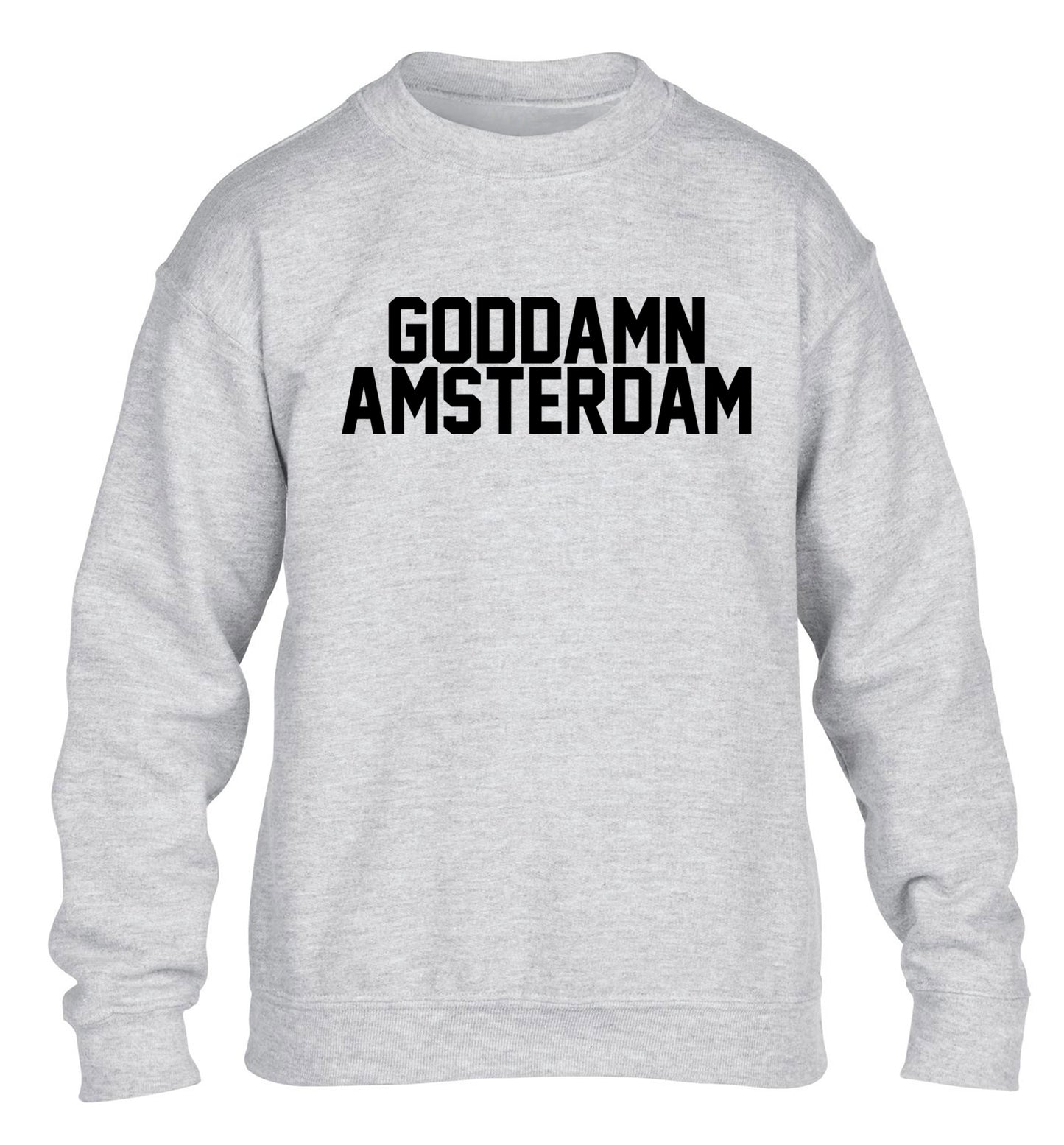 Goddamn Amsterdam children's grey sweater 12-13 Years