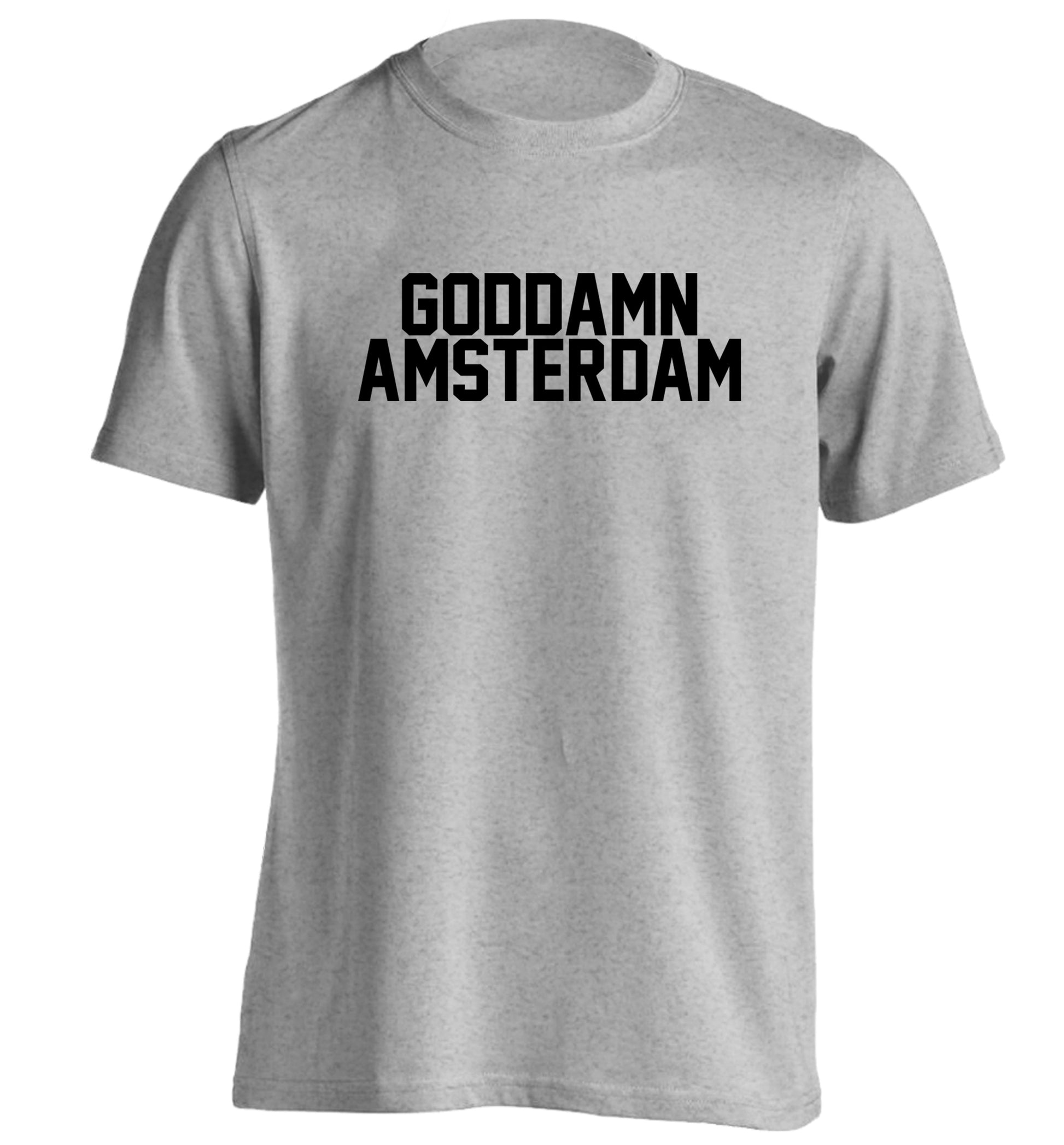 Goddamn Amsterdam adults unisex grey Tshirt 2XL