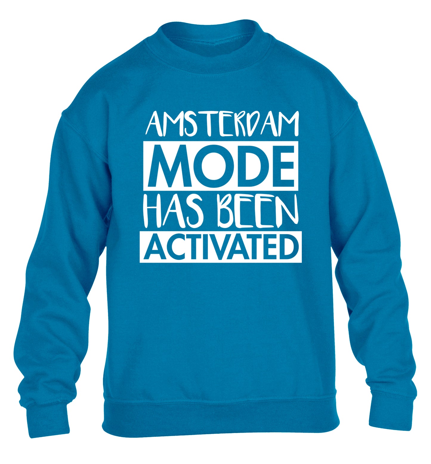 Amsterdam mode has been activated children's blue sweater 12-13 Years
