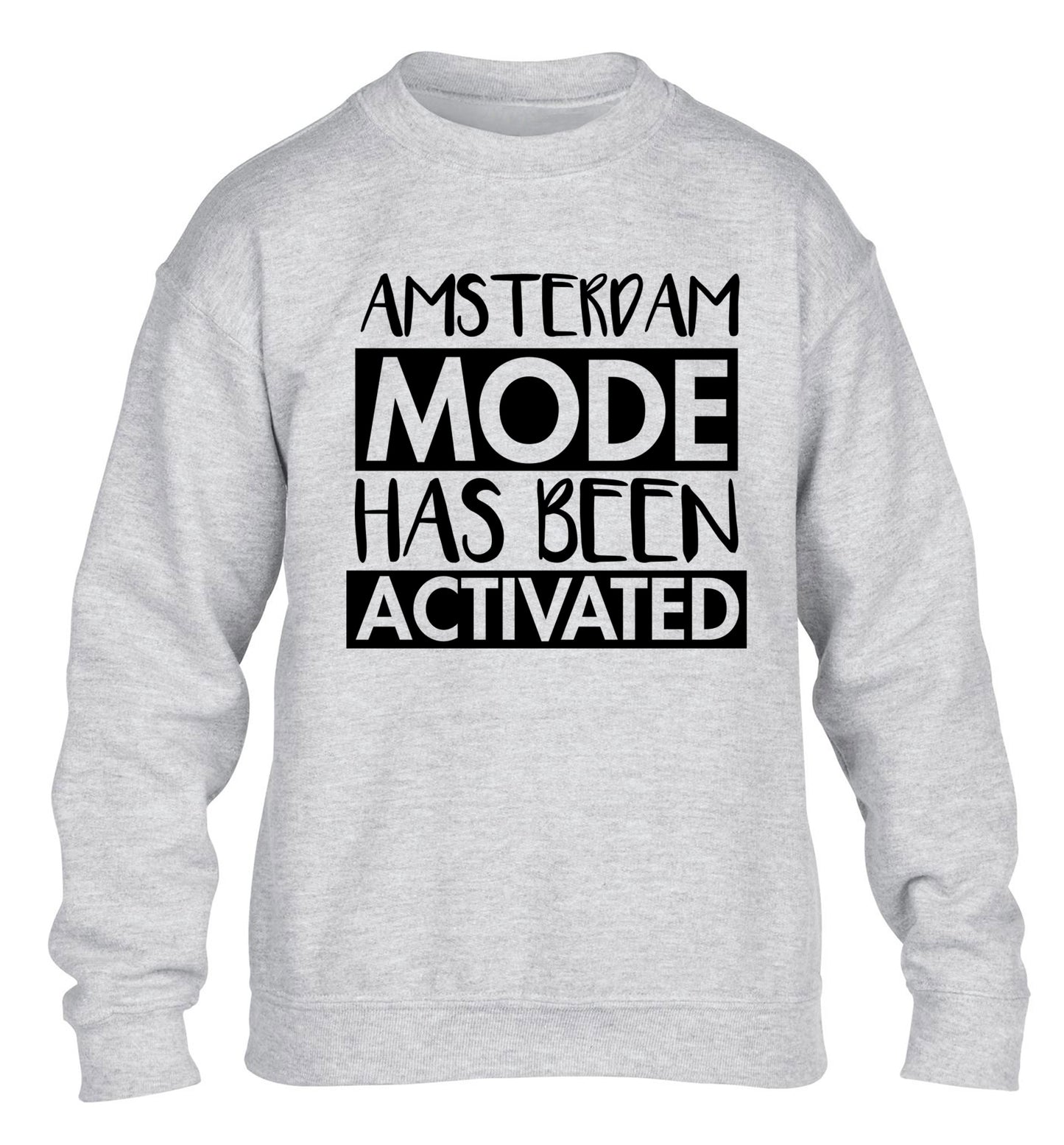 Amsterdam mode has been activated children's grey sweater 12-13 Years