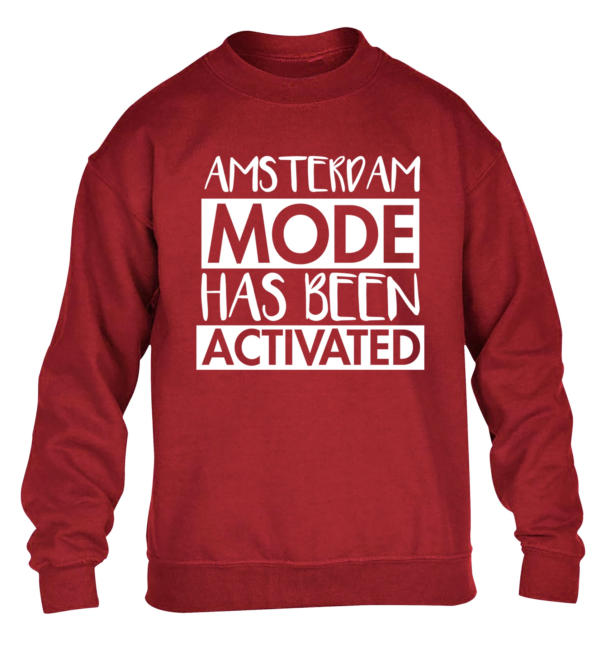 Amsterdam mode has been activated children's grey sweater 12-13 Years