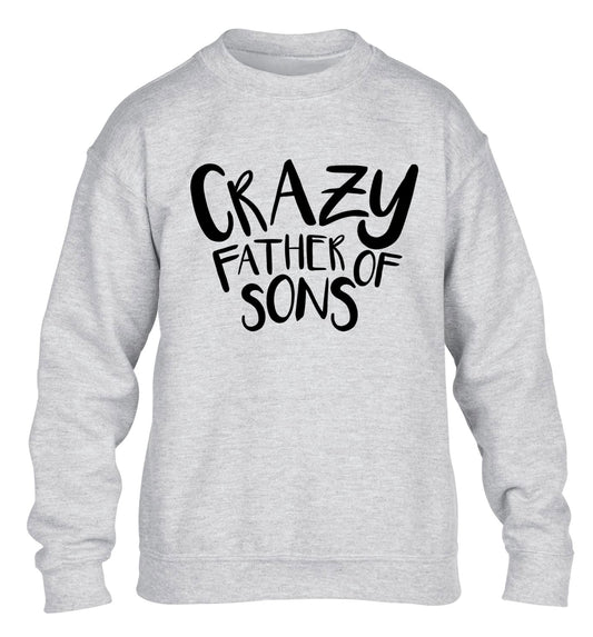 Crazy father of sons children's grey sweater 12-13 Years