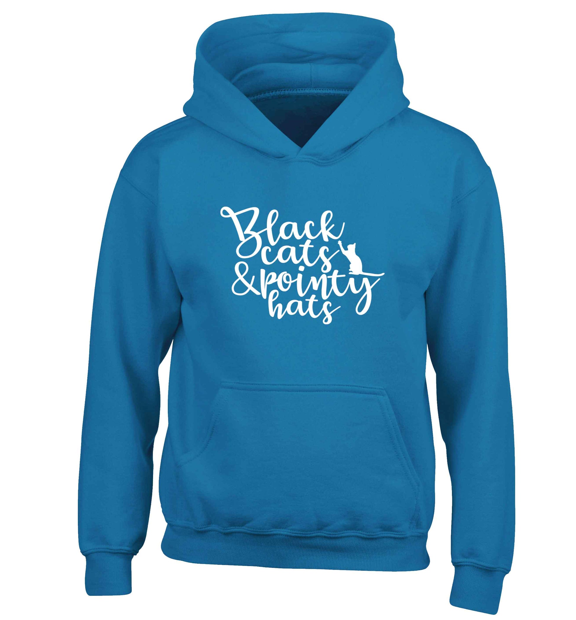 Black cats and pointy hats children's blue hoodie 12-13 Years