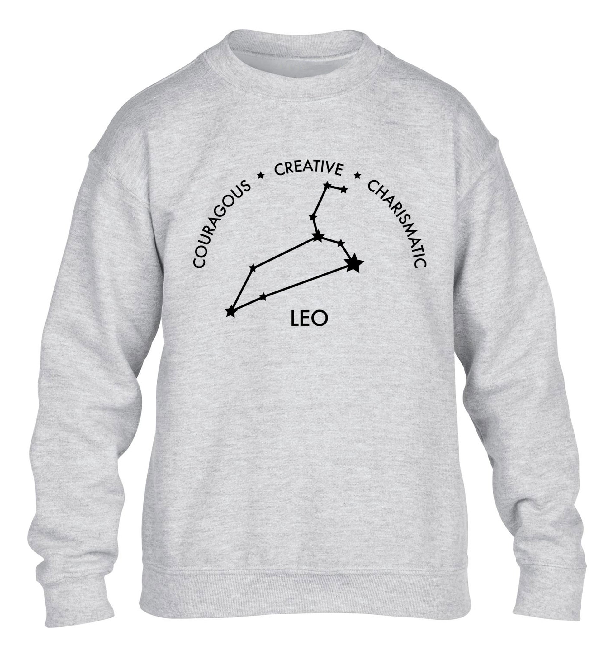Leo - Courageous | Creative | Charismatic children's grey sweater 12-13 Years